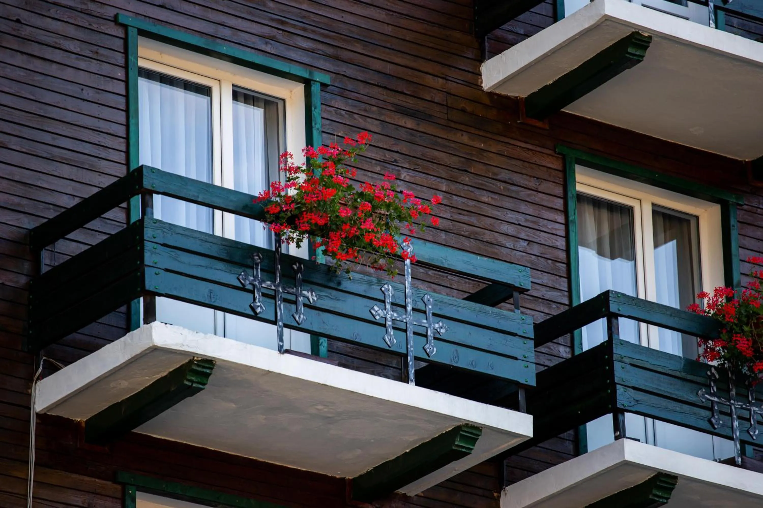 Property building in Vila Ursul Negru