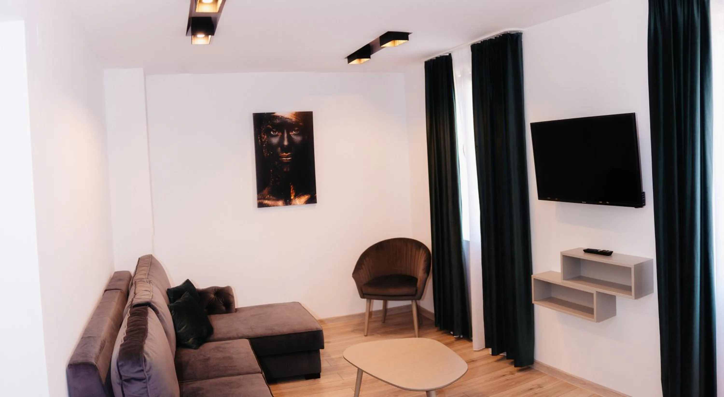 TV and multimedia in Vila Ursul Negru