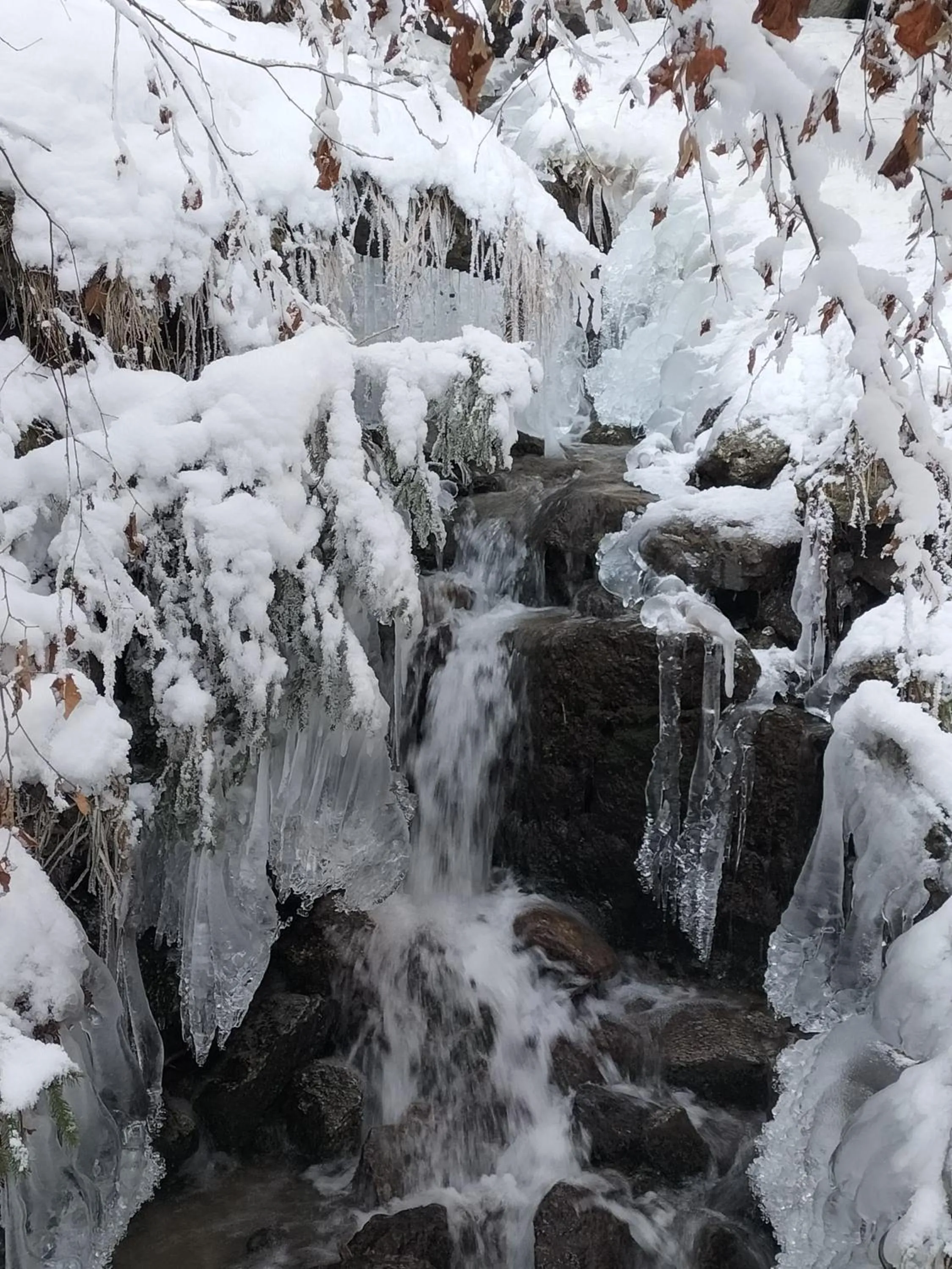 Winter in le Montagny