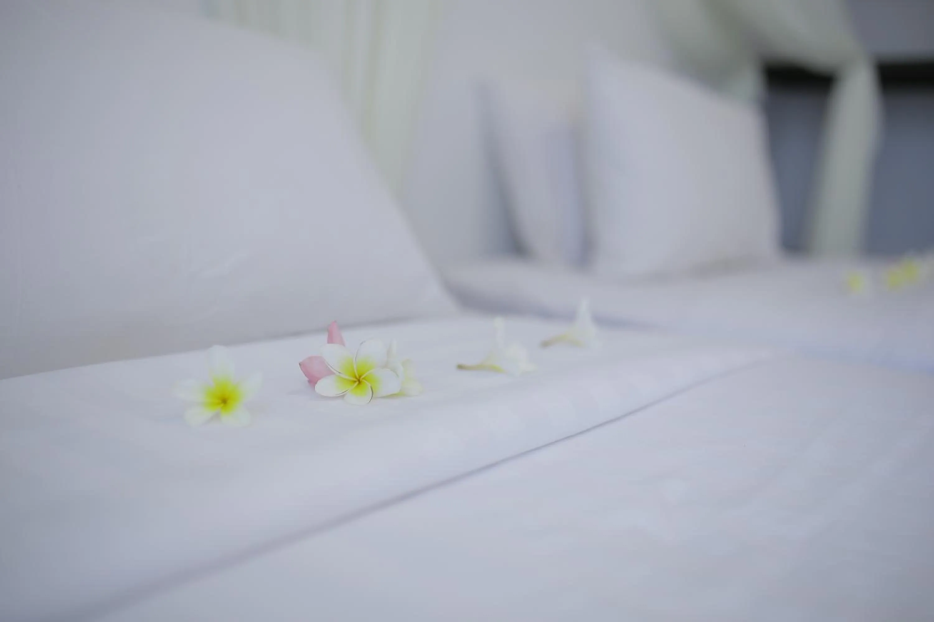 Bed in Aman Dan Laut