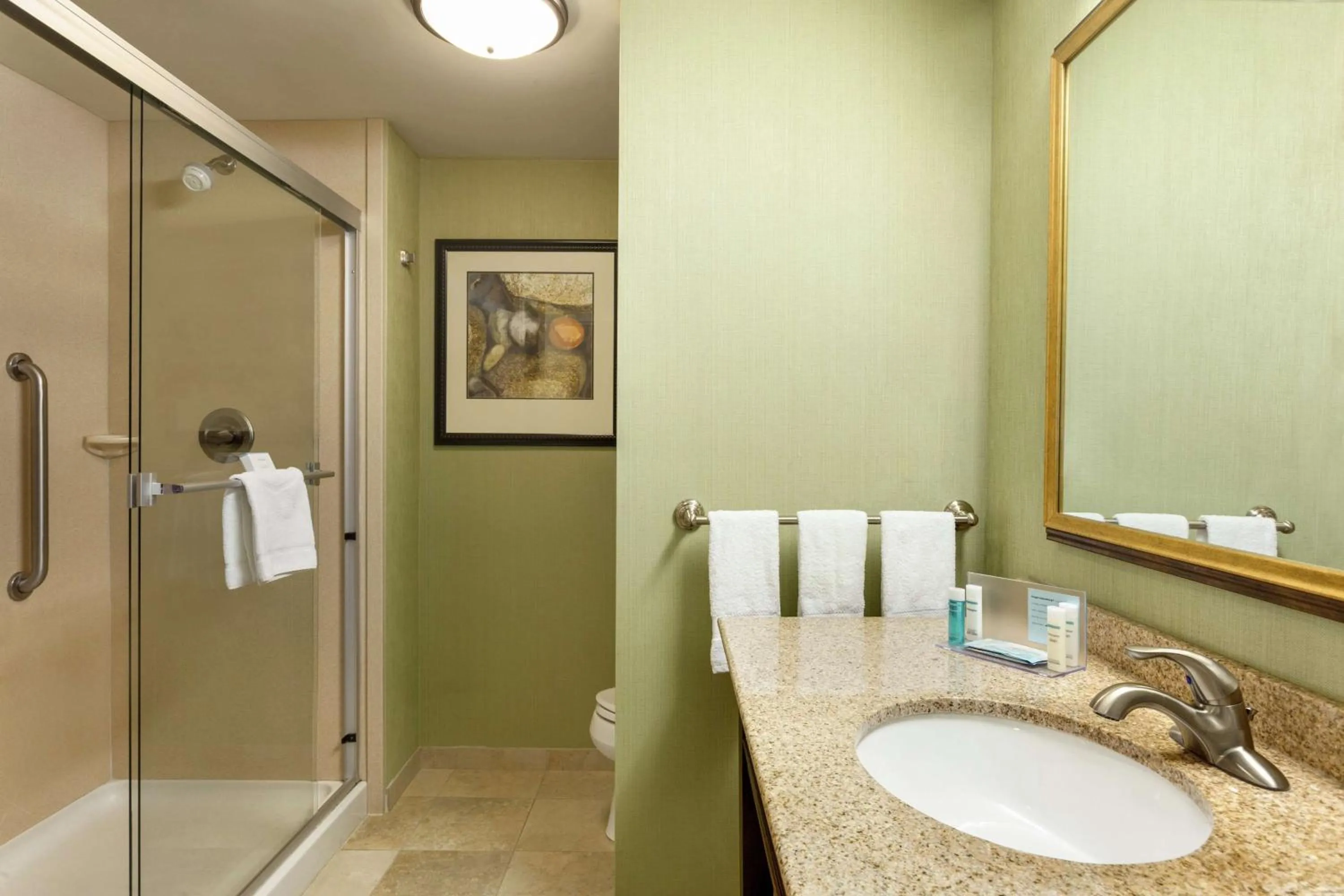 Bathroom in Hampton Inn & Suites Prattville