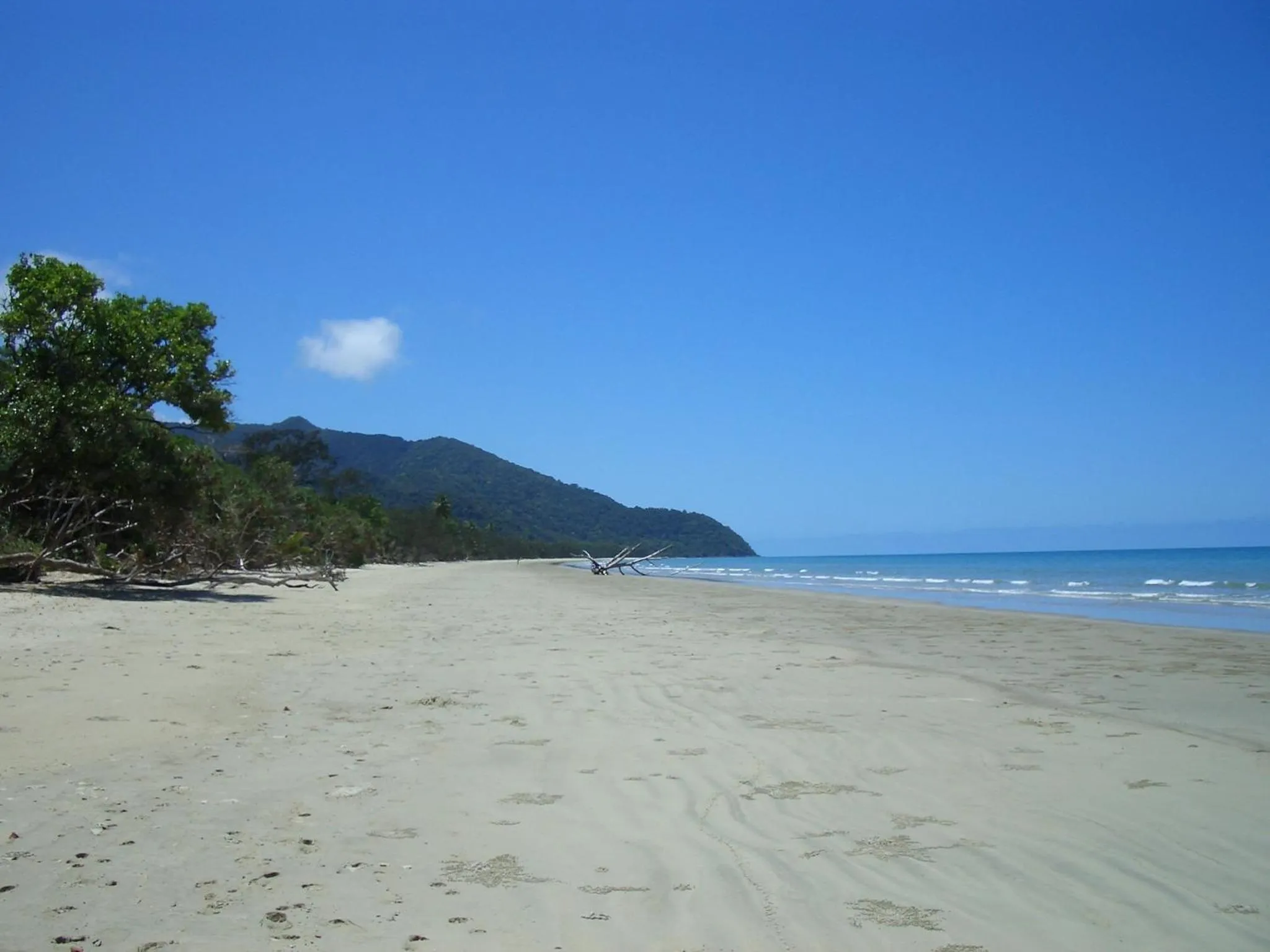 Other in Epiphyte B & B