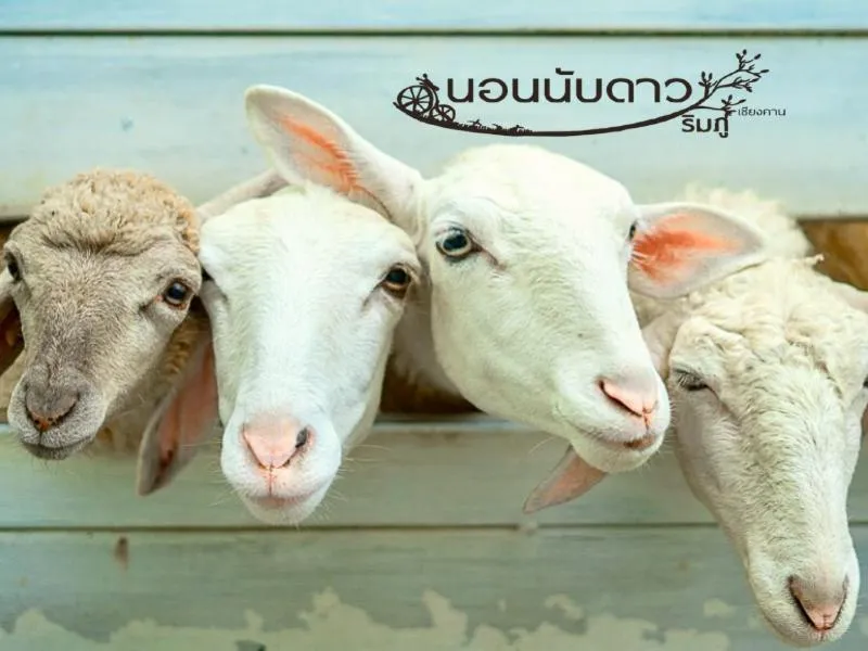 Norn Nab Dao RimPhu Resort