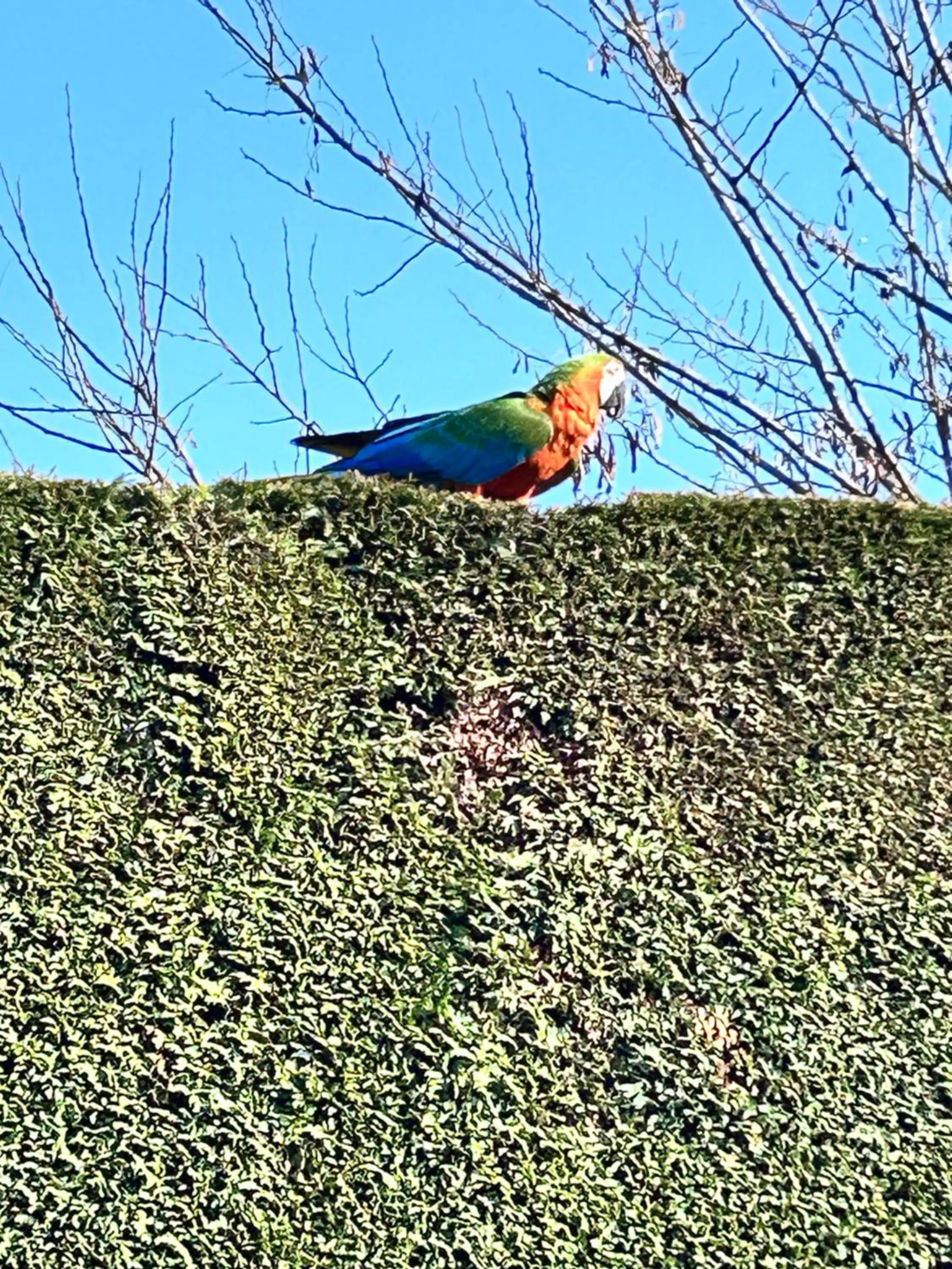 Garden in La Casa di Linda