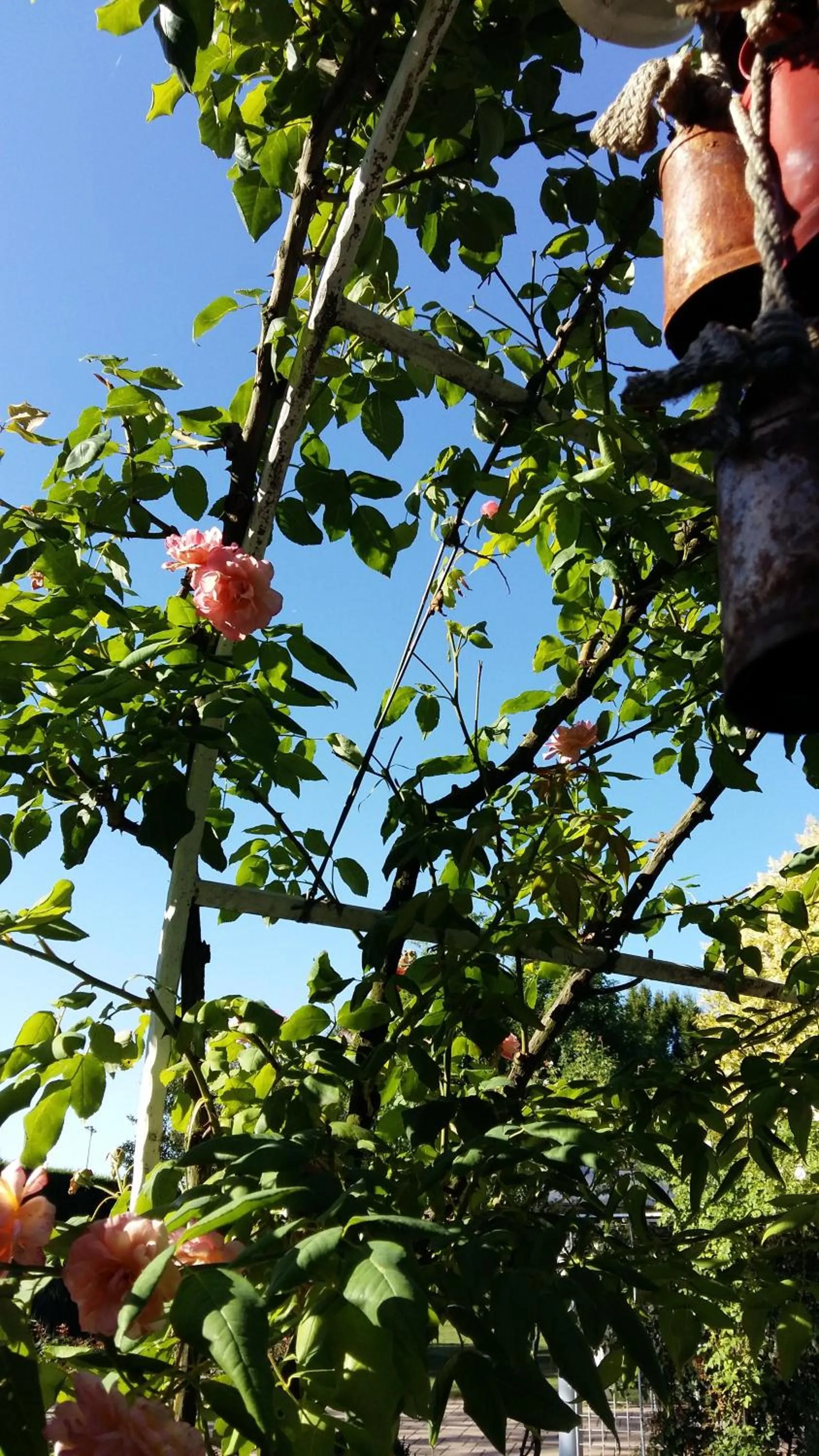 Garden in La Casa di Linda