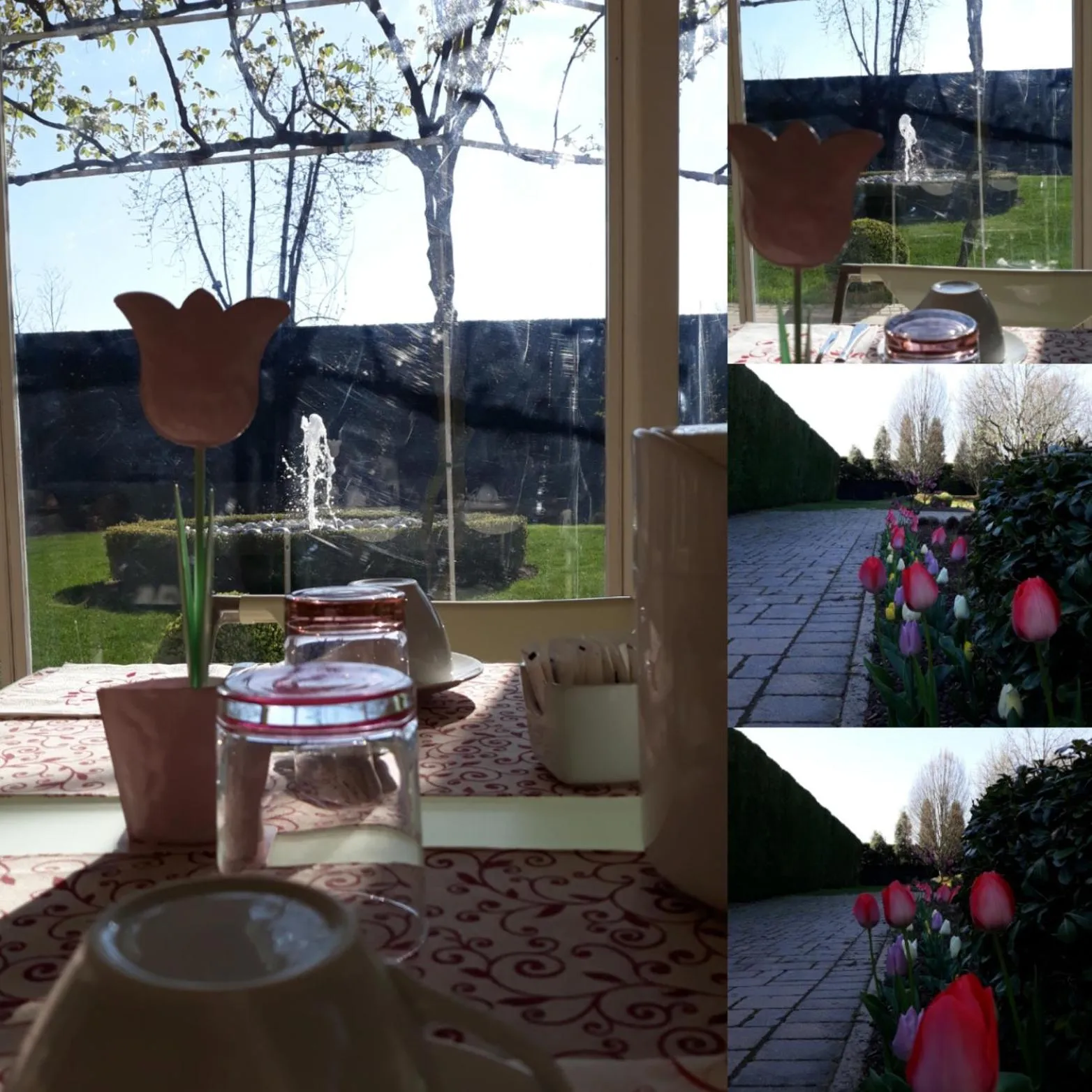 Garden in La Casa di Linda