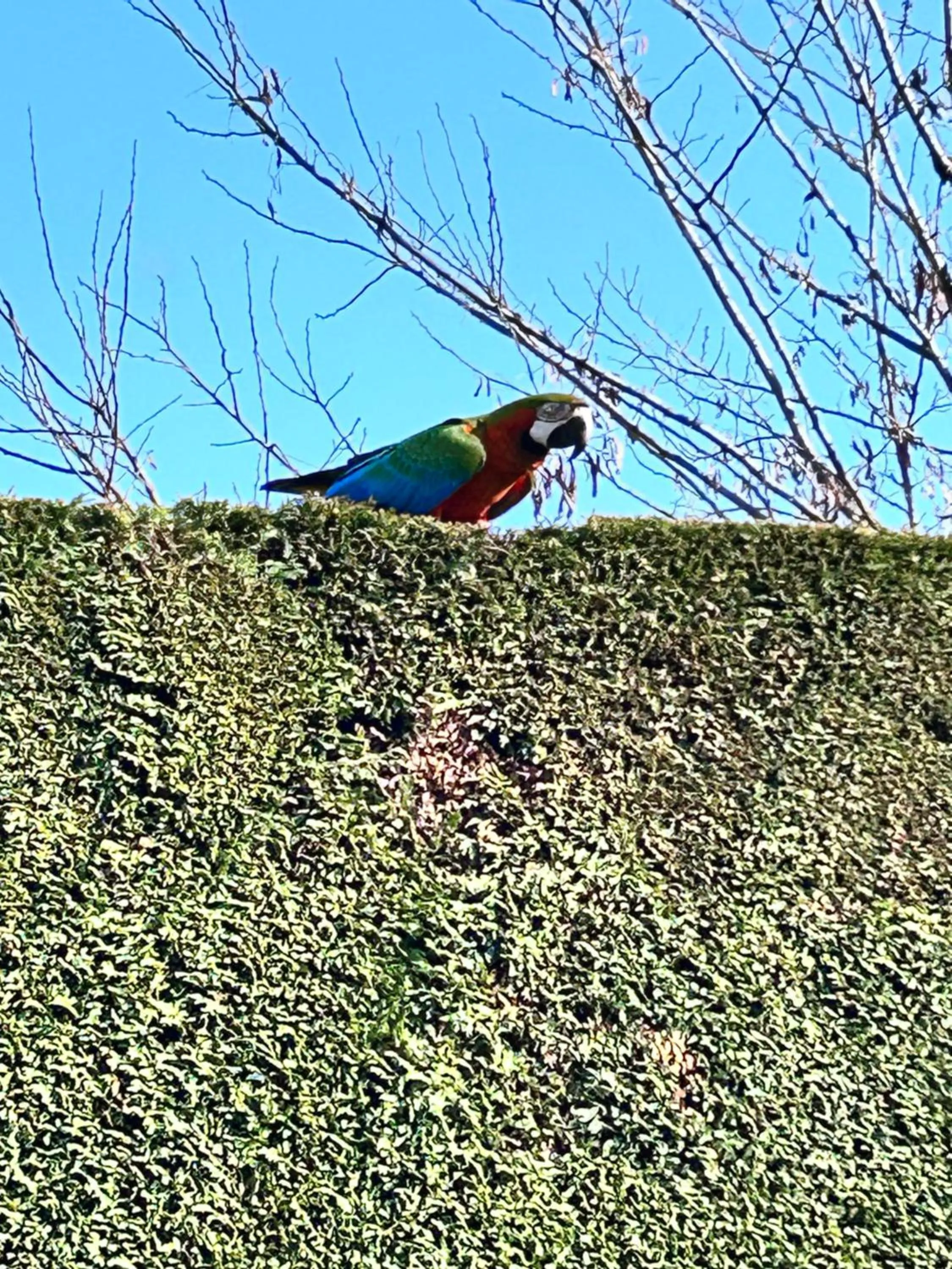 Garden in La Casa di Linda