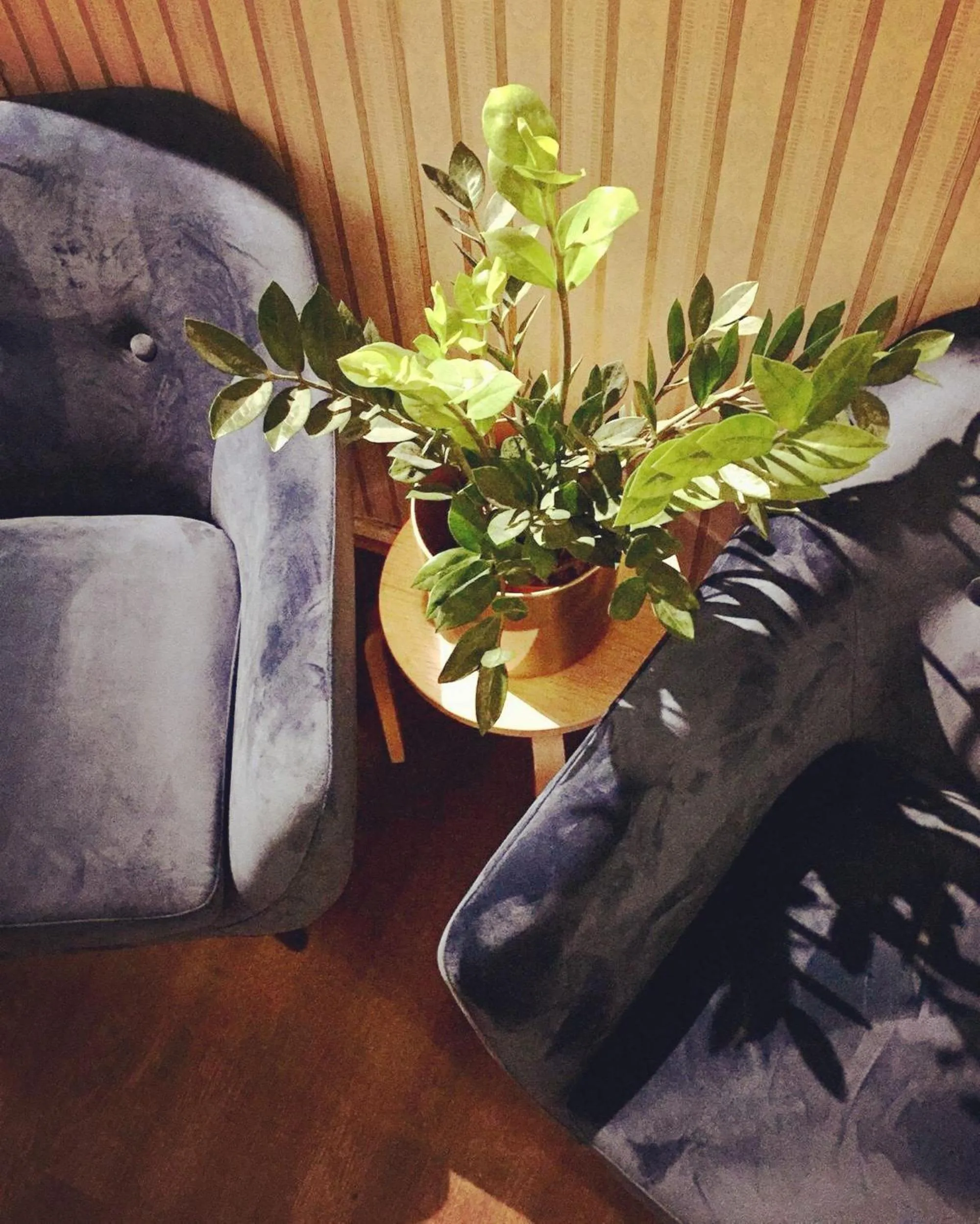 Decorative detail in Hostel Diana Park