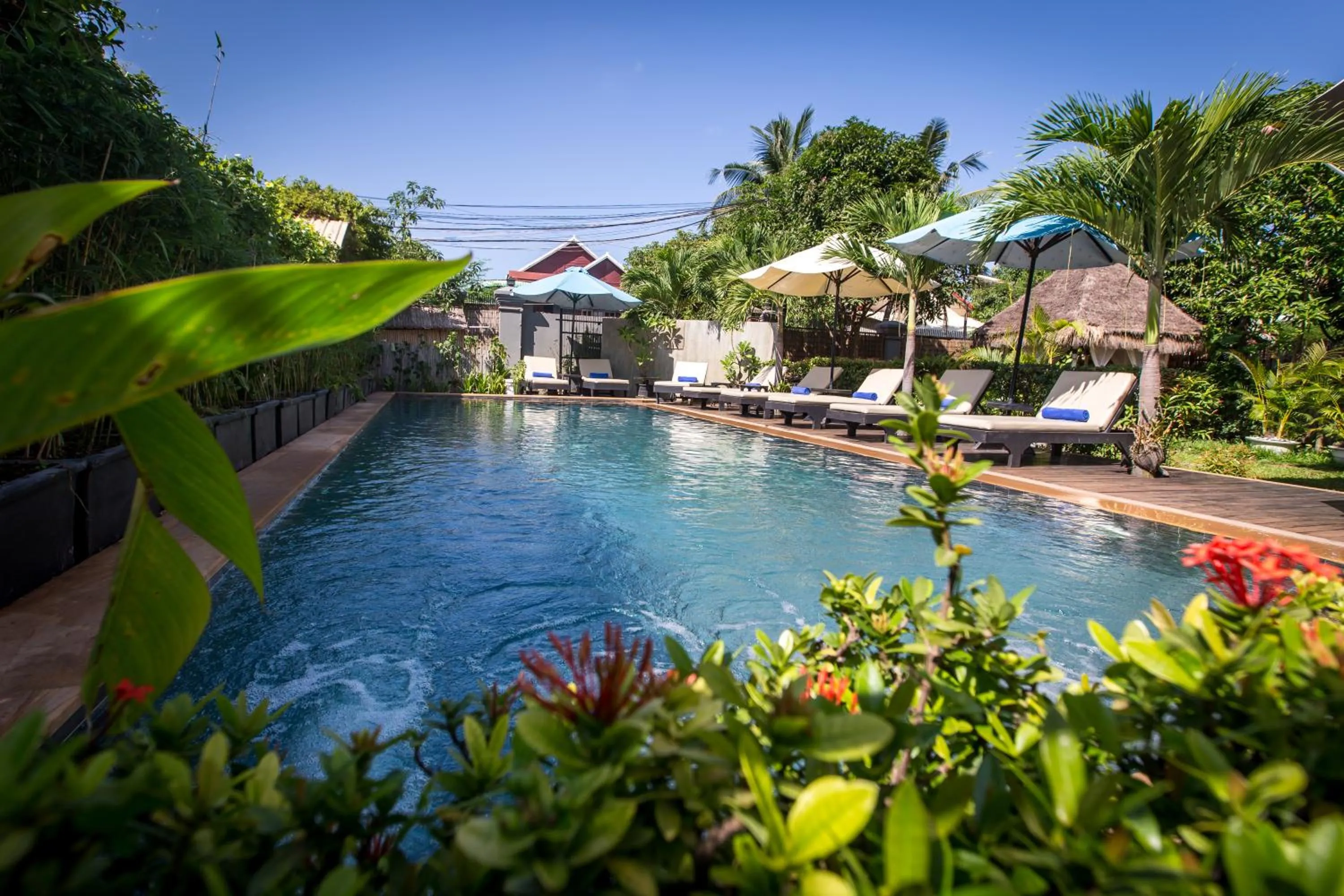 Swimming pool in Baby Elephant Boutique Hotel