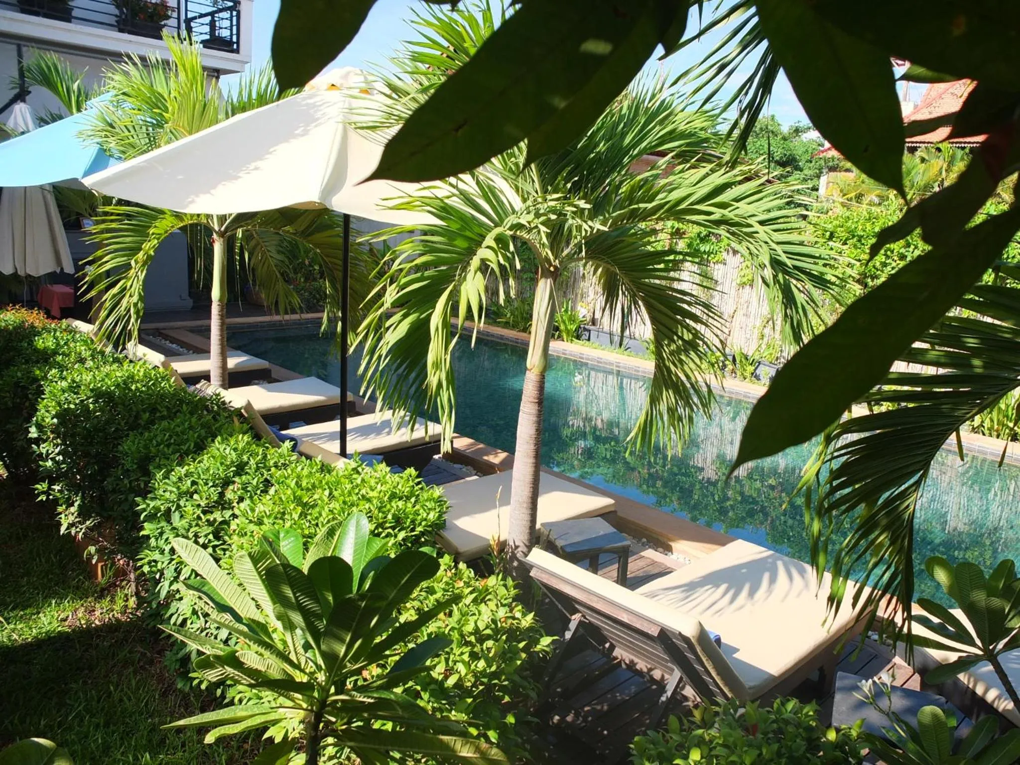 Activities in Baby Elephant Boutique Hotel