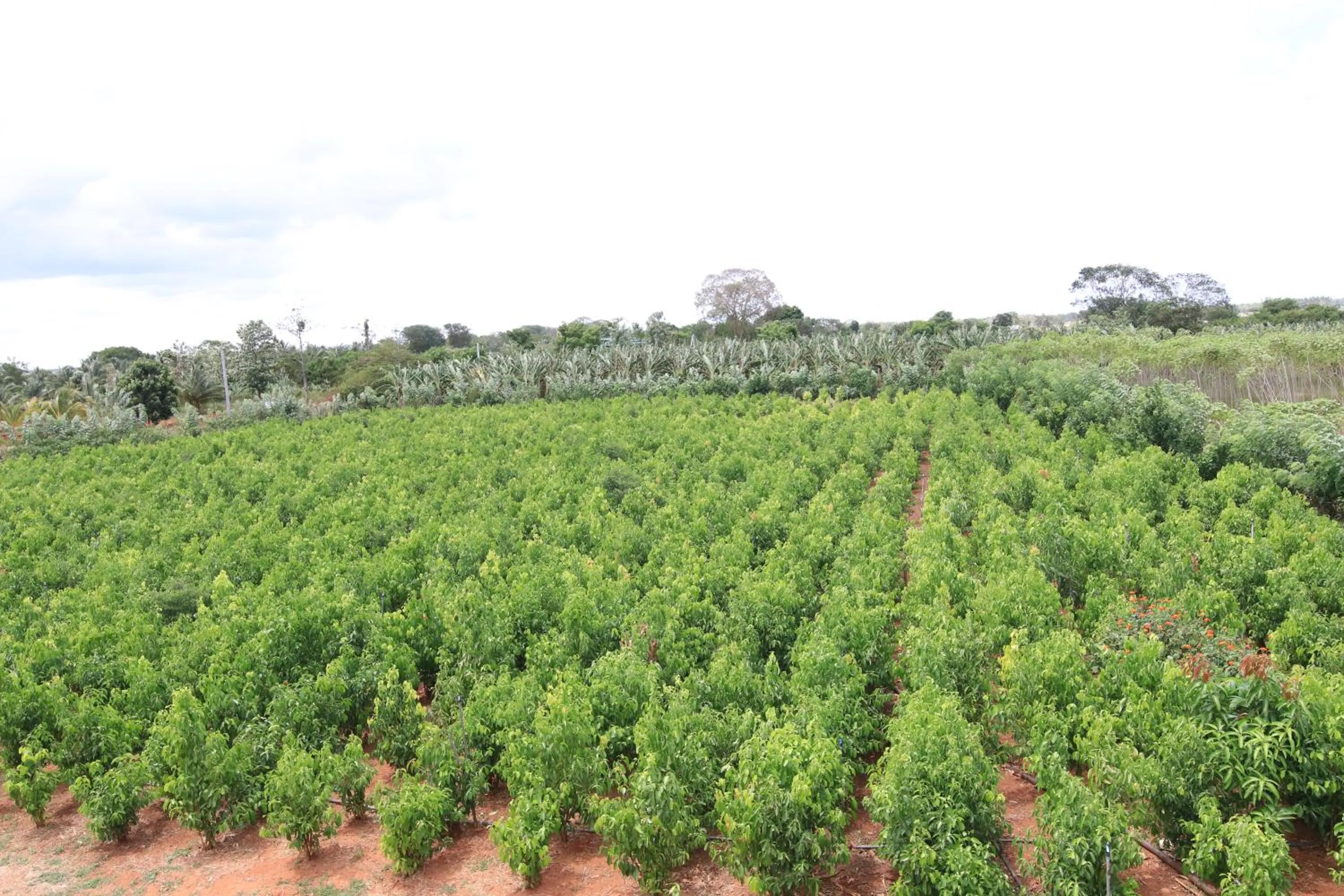 Activities in Mailagama Cinnamon Residence