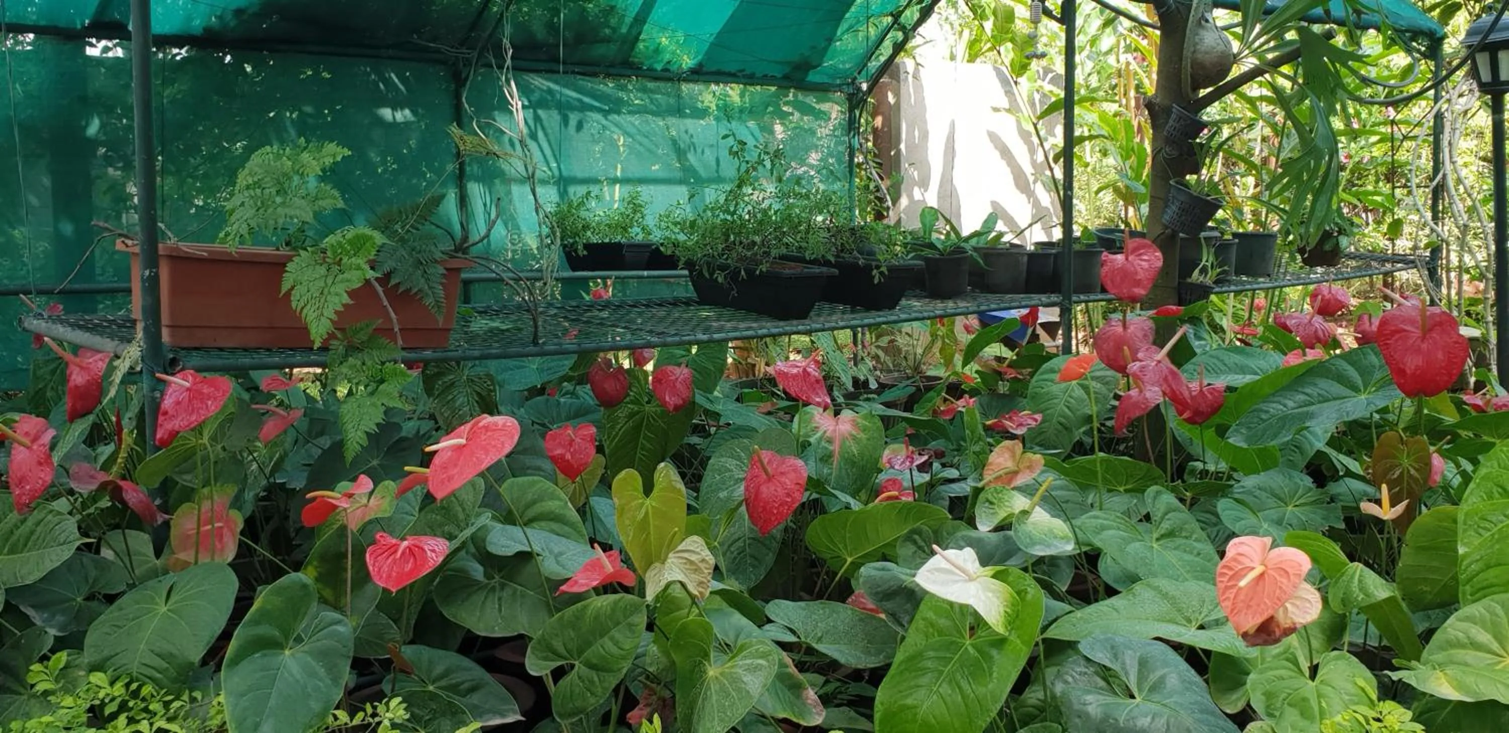 Other in Mailagama Cinnamon Residence