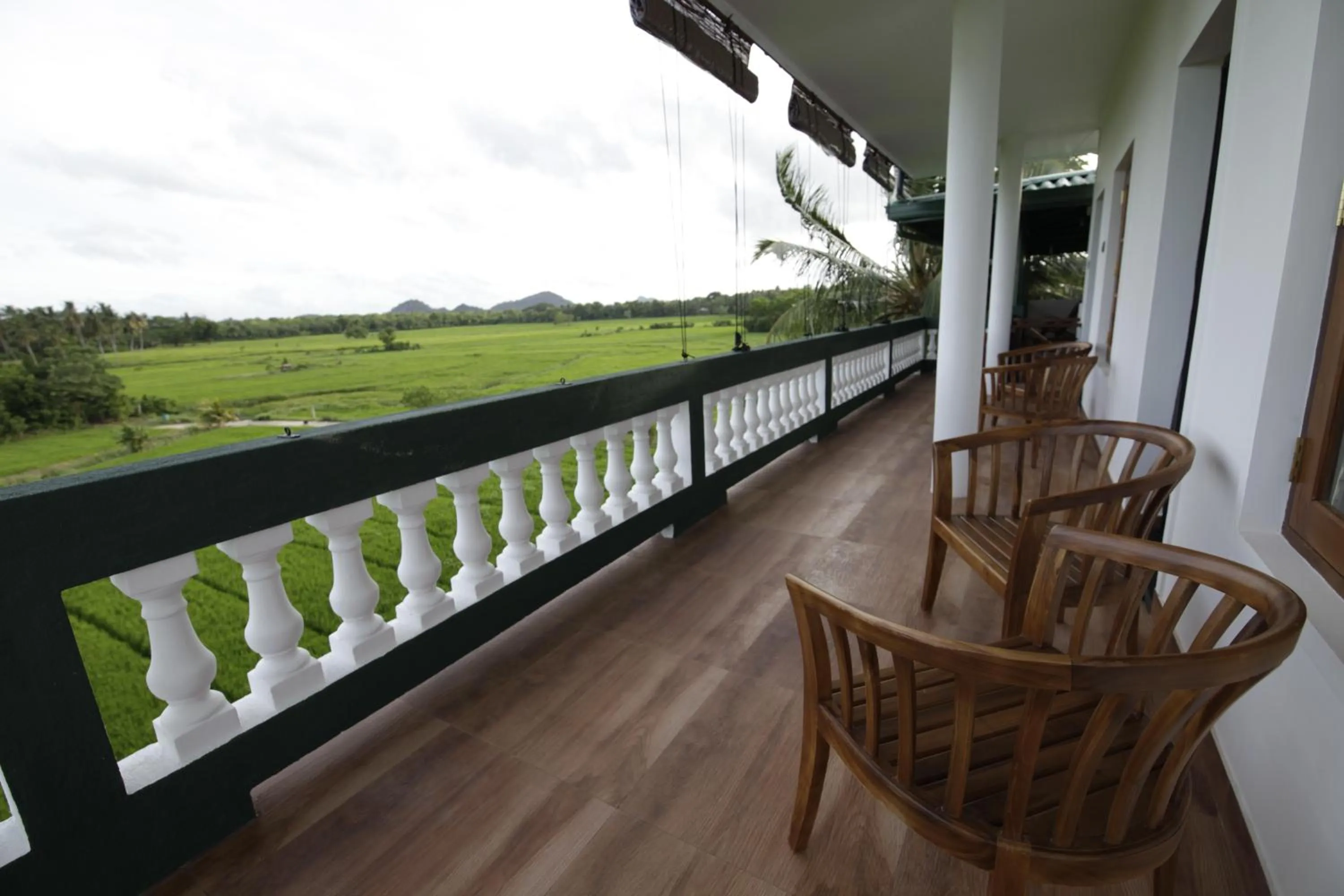 Natural landscape in Mailagama Cinnamon Residence