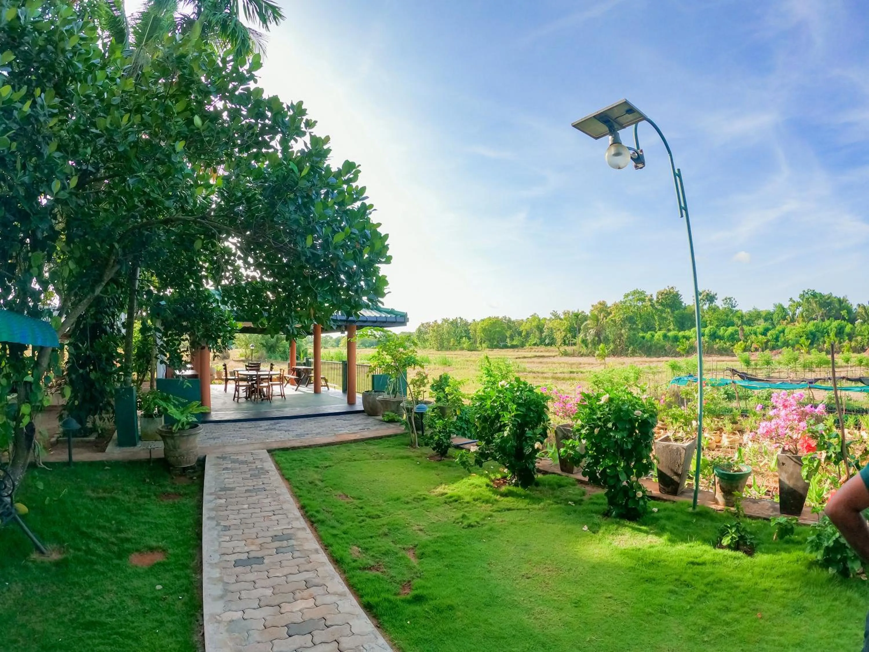 Garden view in Mailagama Cinnamon Residence
