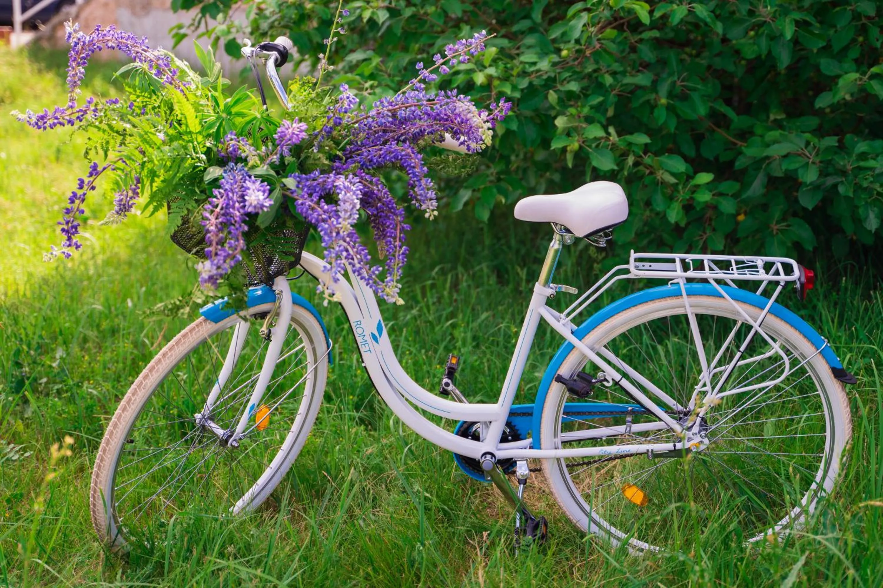 Activities in Kornealita