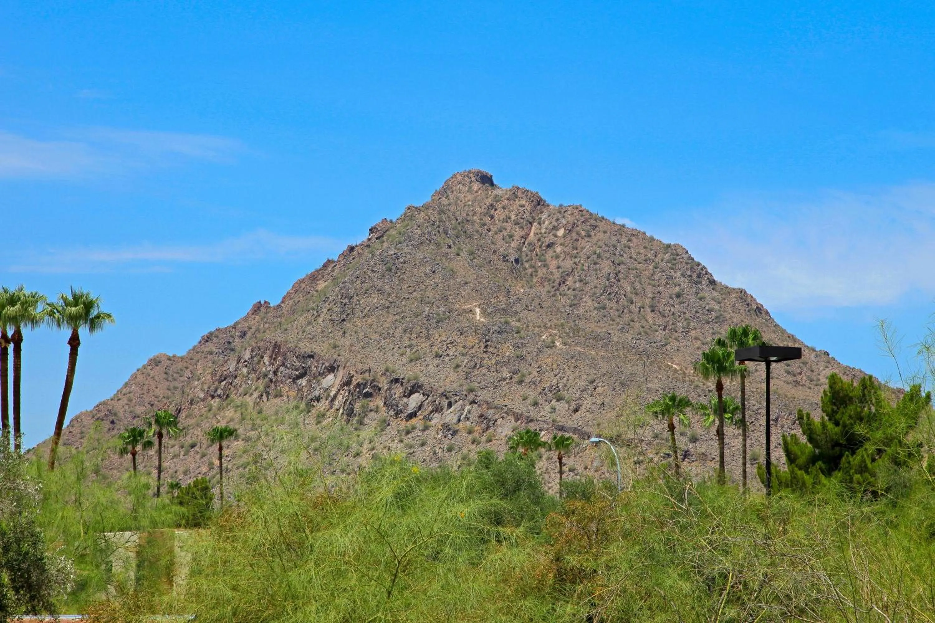 Area and facilities in Motel 6 Old town Scottsdale Fashion Square