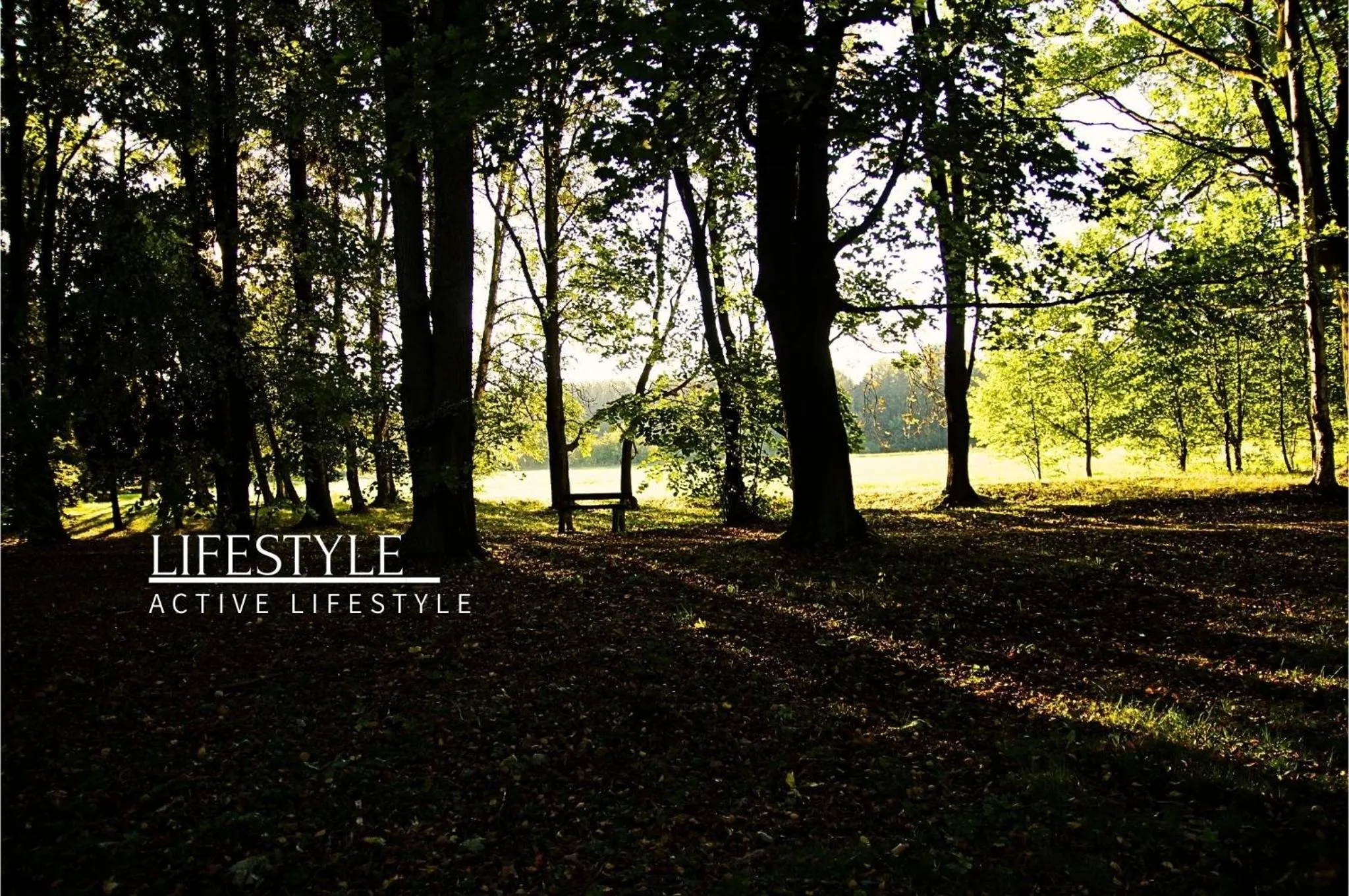 Activities in Rezidence Zámeček - Boutique Hotel