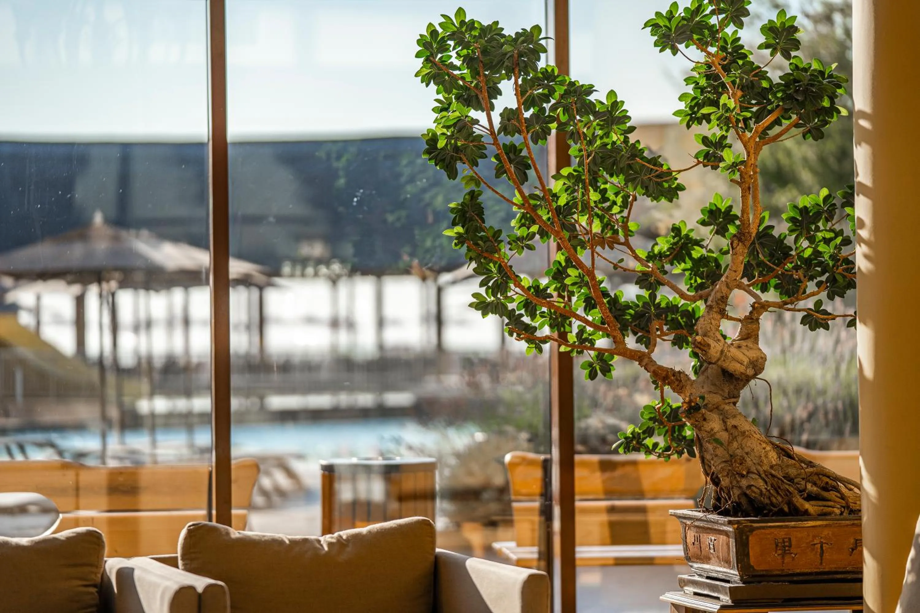 Property building in HVD Clubhotel Miramar - 24 Hours Ultra All Inclusive & Free Parking