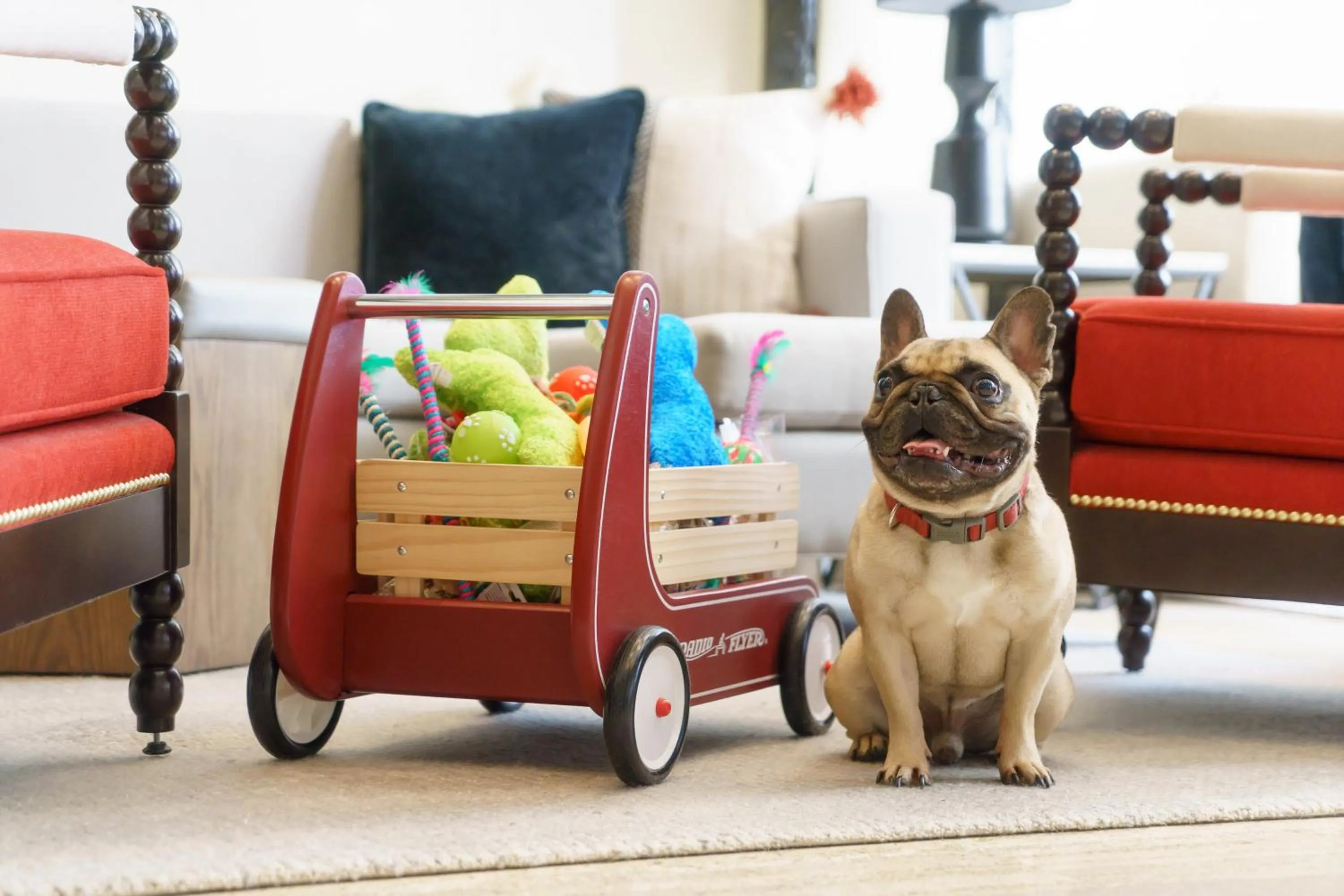 Pets in Hotel Spero, Vignette Collection by IHG