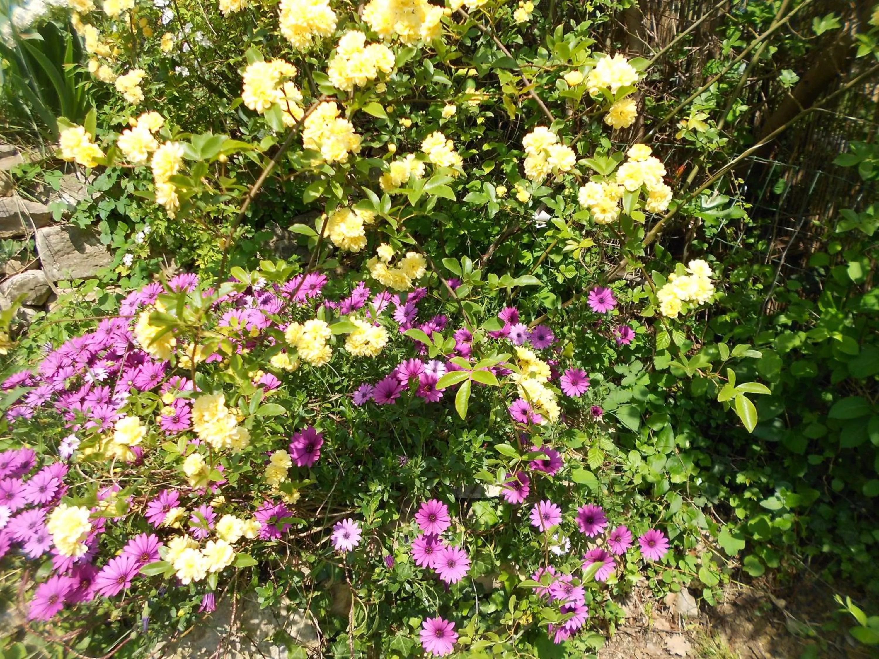 Garden view in Le Mas de FRAYERE