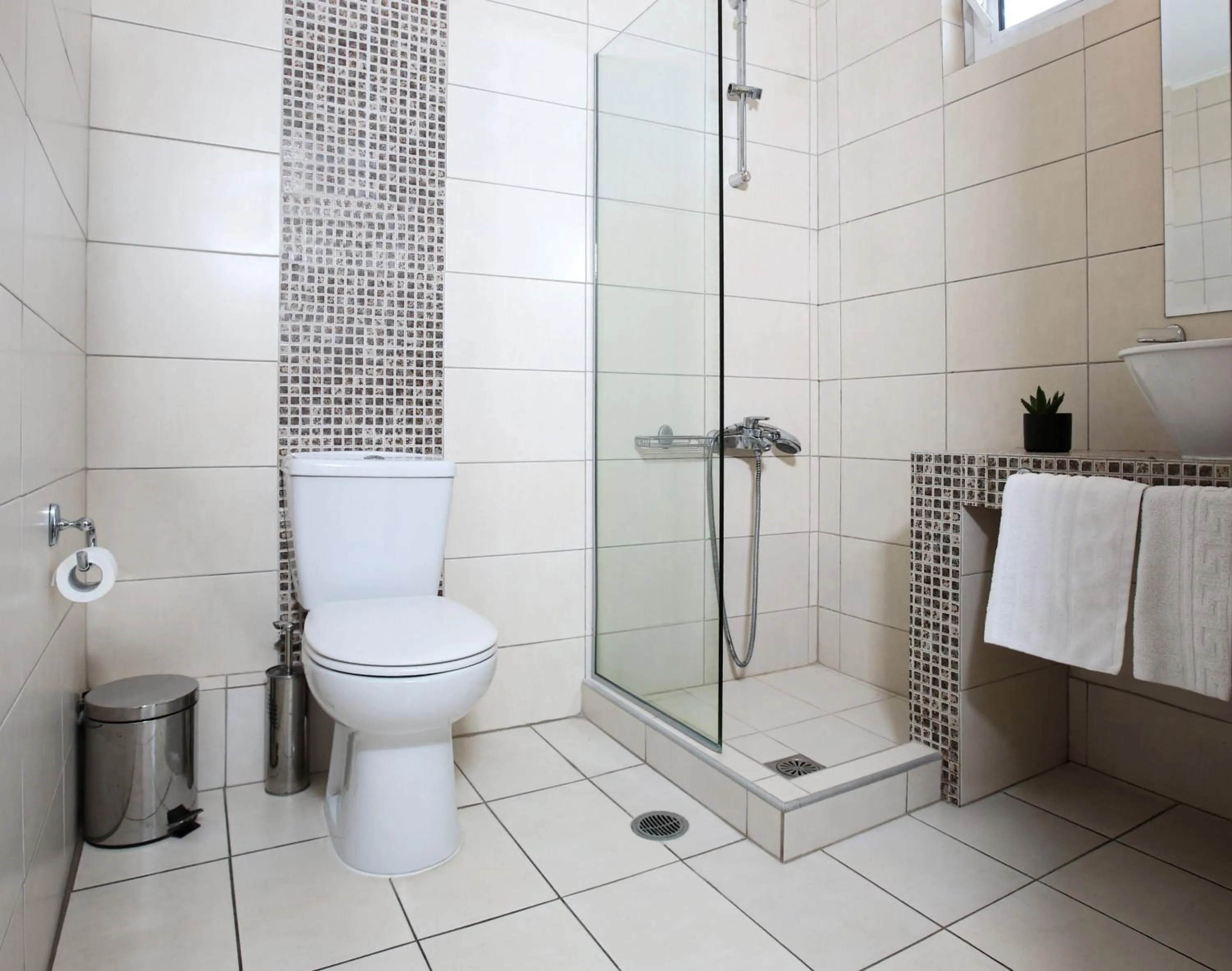 Shower in Hotel Astron