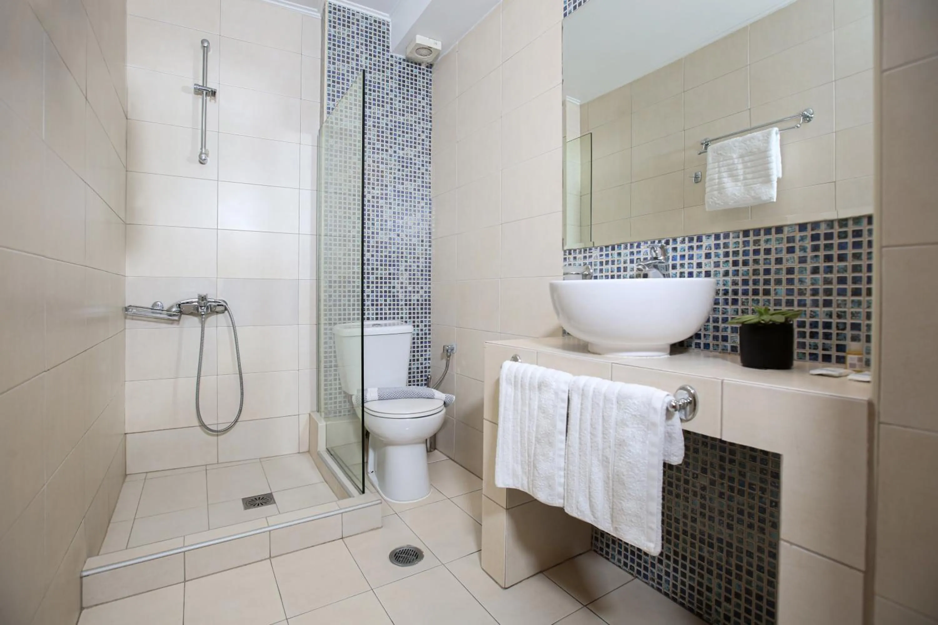 Shower in Hotel Astron