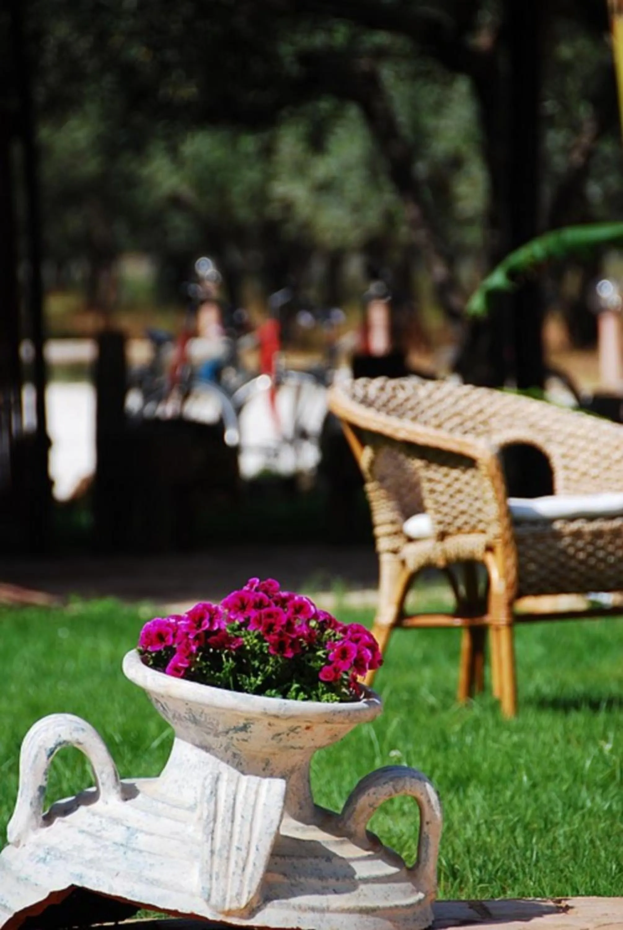 Garden in Trigrana Vacanze Hotel