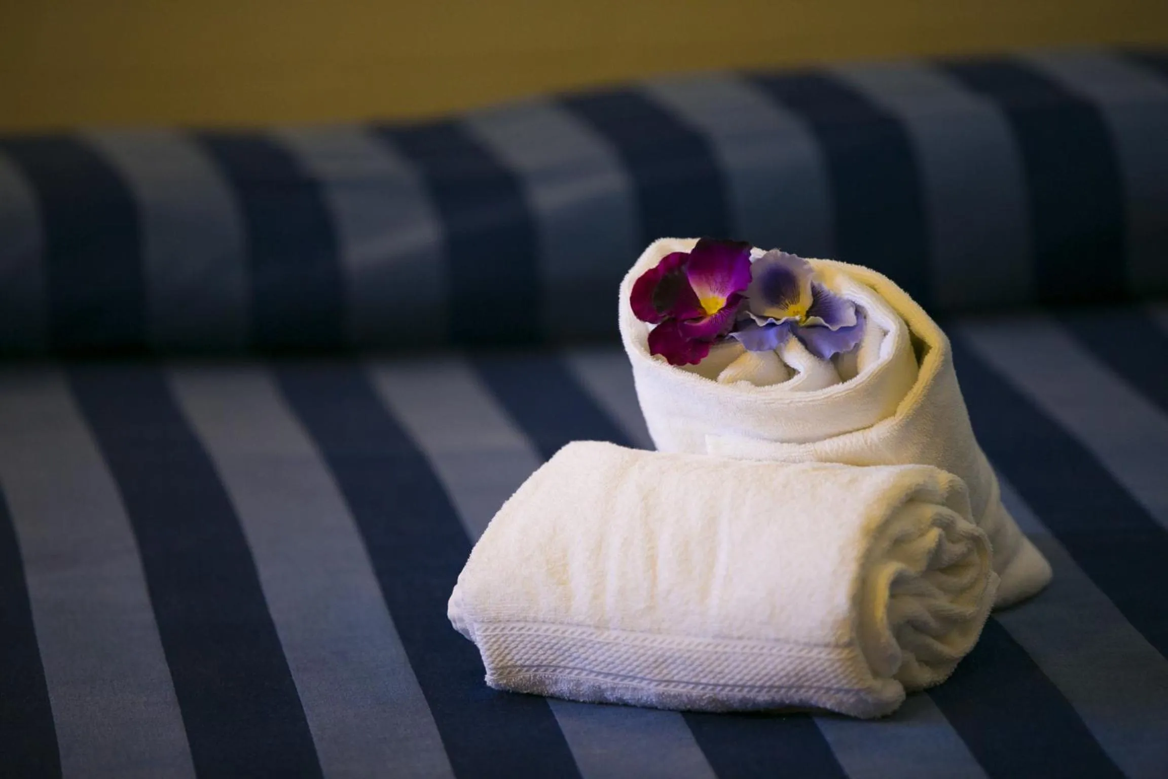 Other in Trigrana Vacanze Hotel