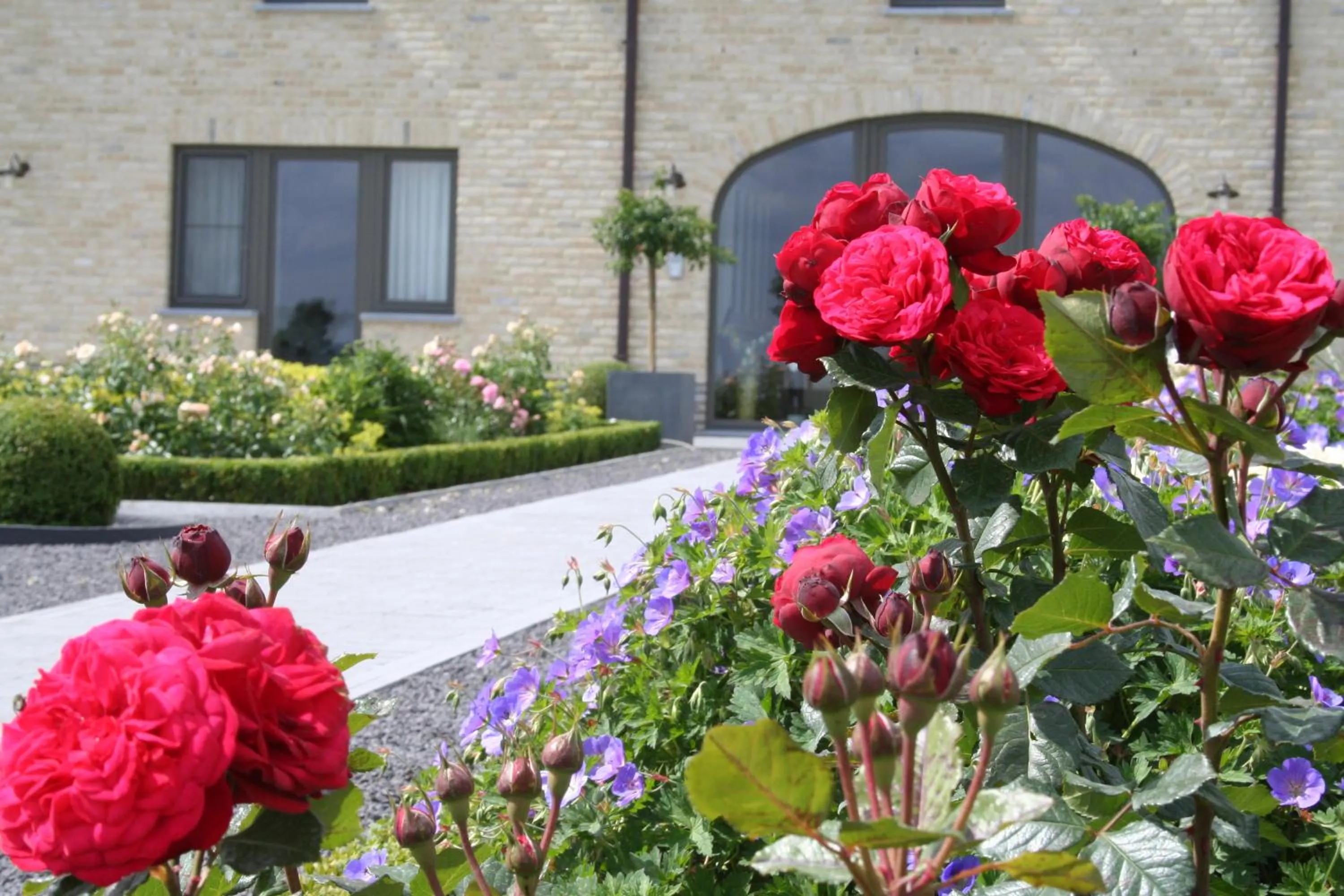 Garden in B&B La Vie En Roses