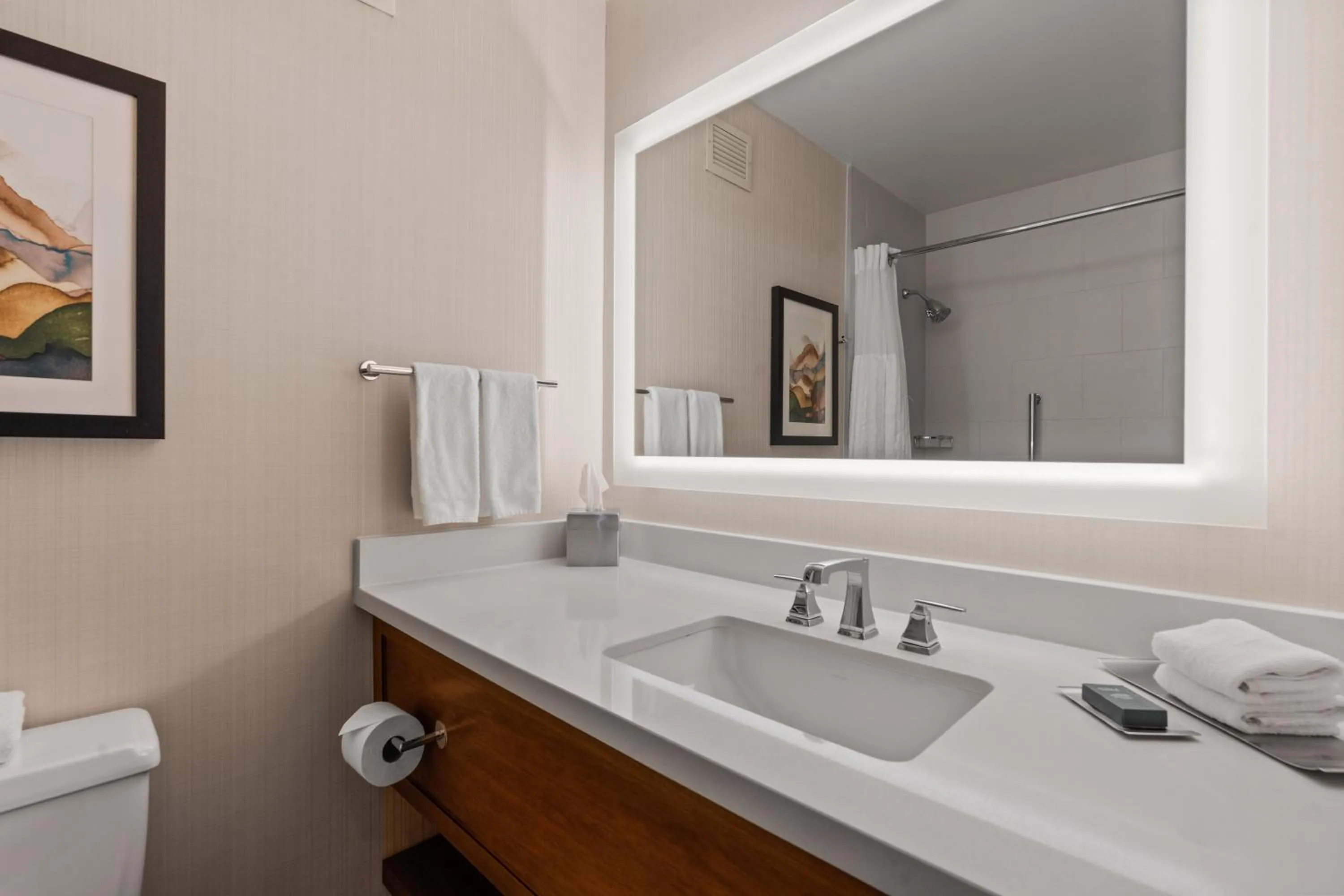 Bathroom in DoubleTree by Hilton Spokane City Center