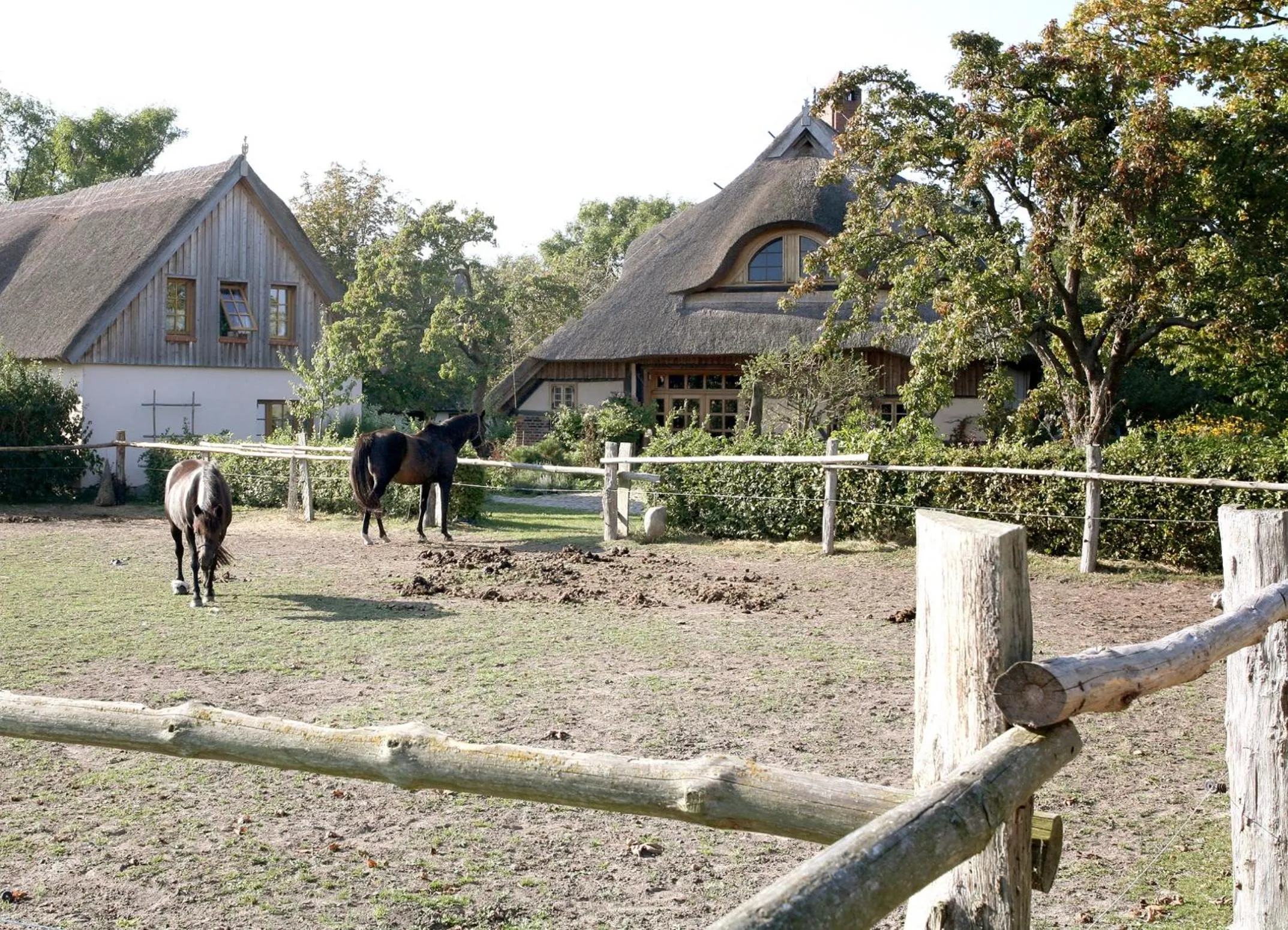 Off site in Ostseehotel Wustrow