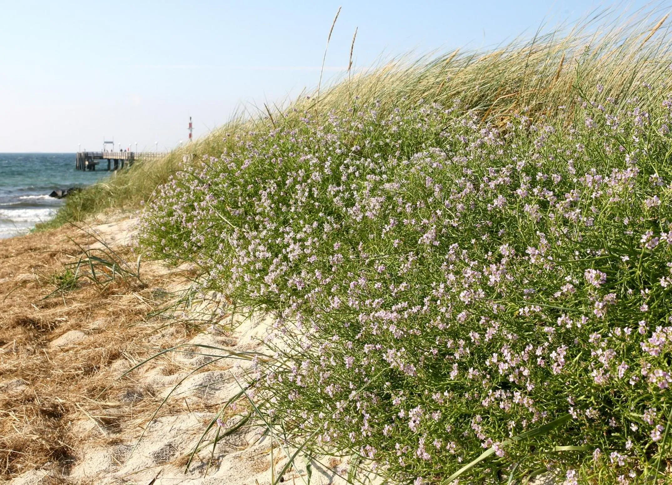 Off site in Ostseehotel Wustrow