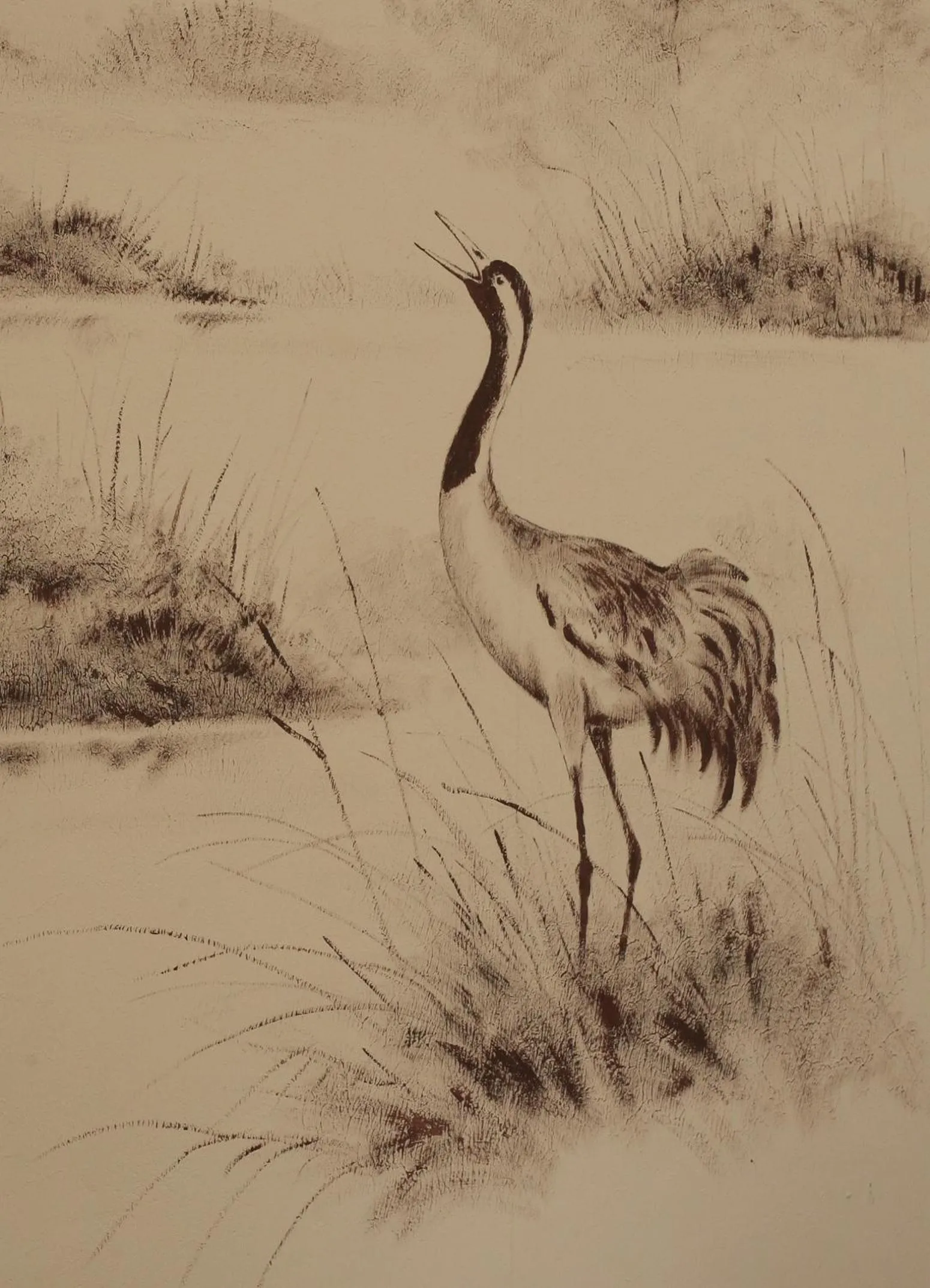 Spa and wellness centre/facilities in Ostseehotel Wustrow