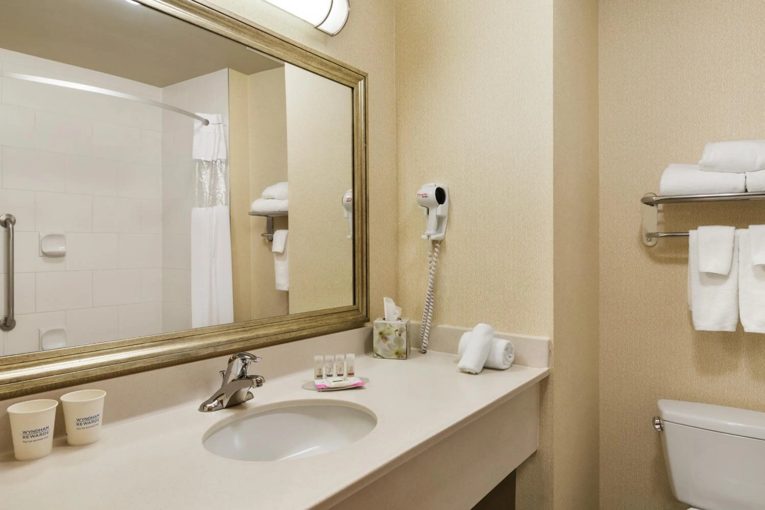 Shower in Days Inn & Suites by Wyndham Edmonton Airport