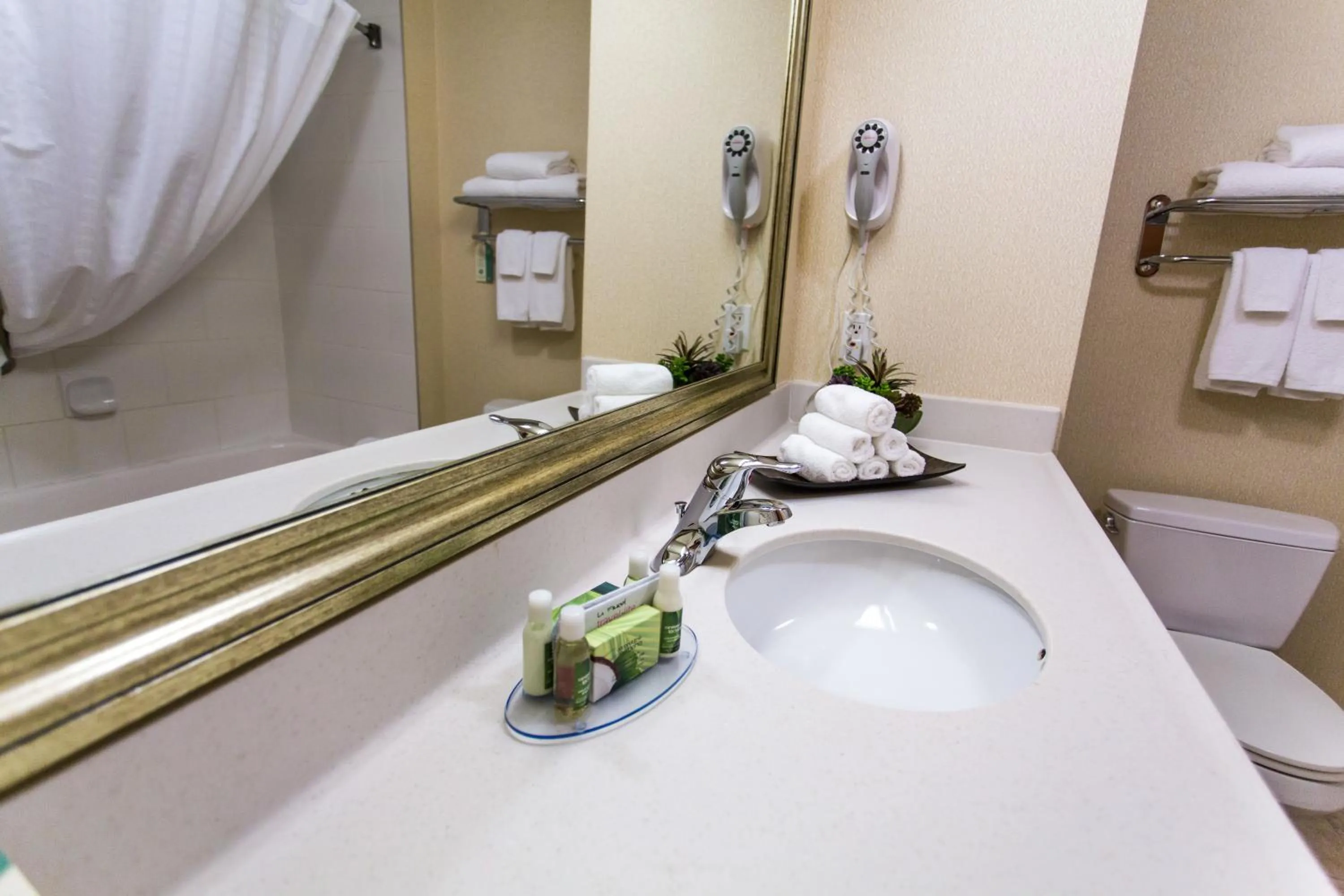 Bathroom in Days Inn & Suites by Wyndham Edmonton Airport