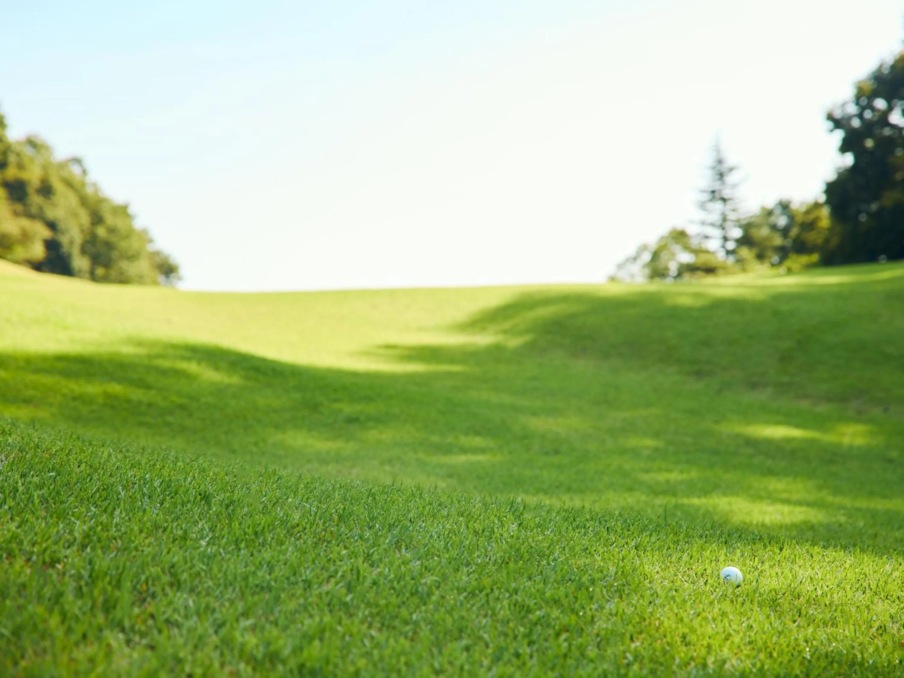 Day in Mission Hills Hotel