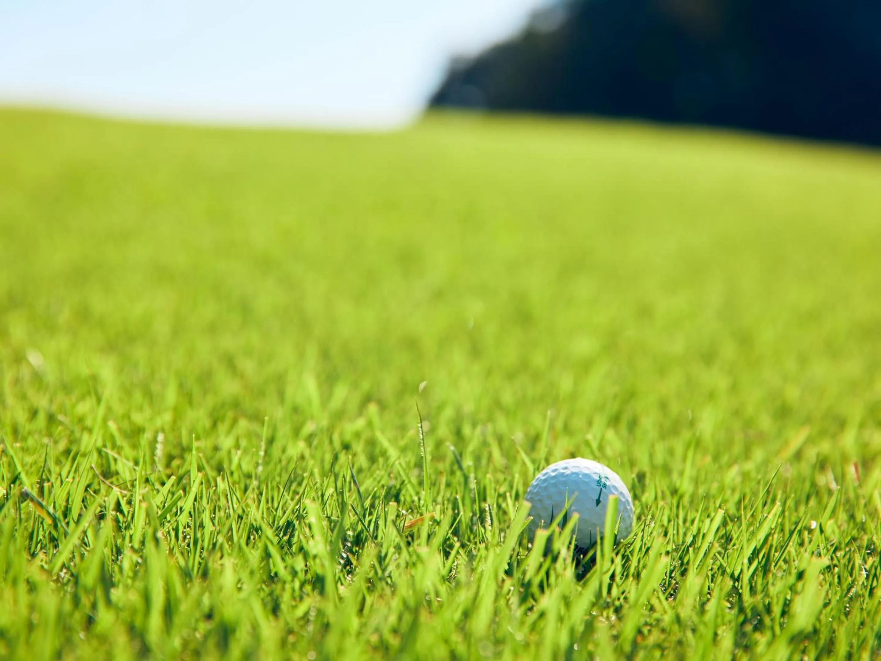 Day in Mission Hills Hotel