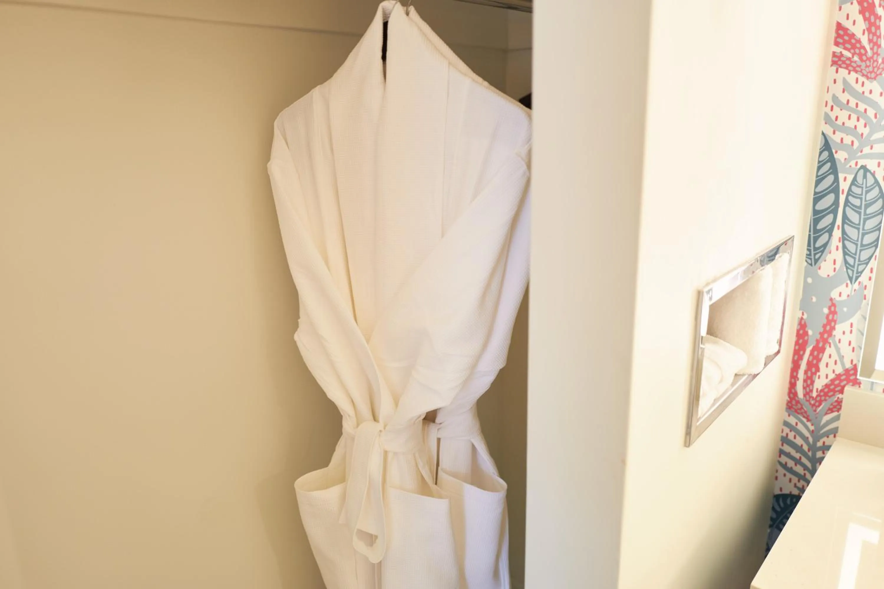 wardrobe in SoMa House