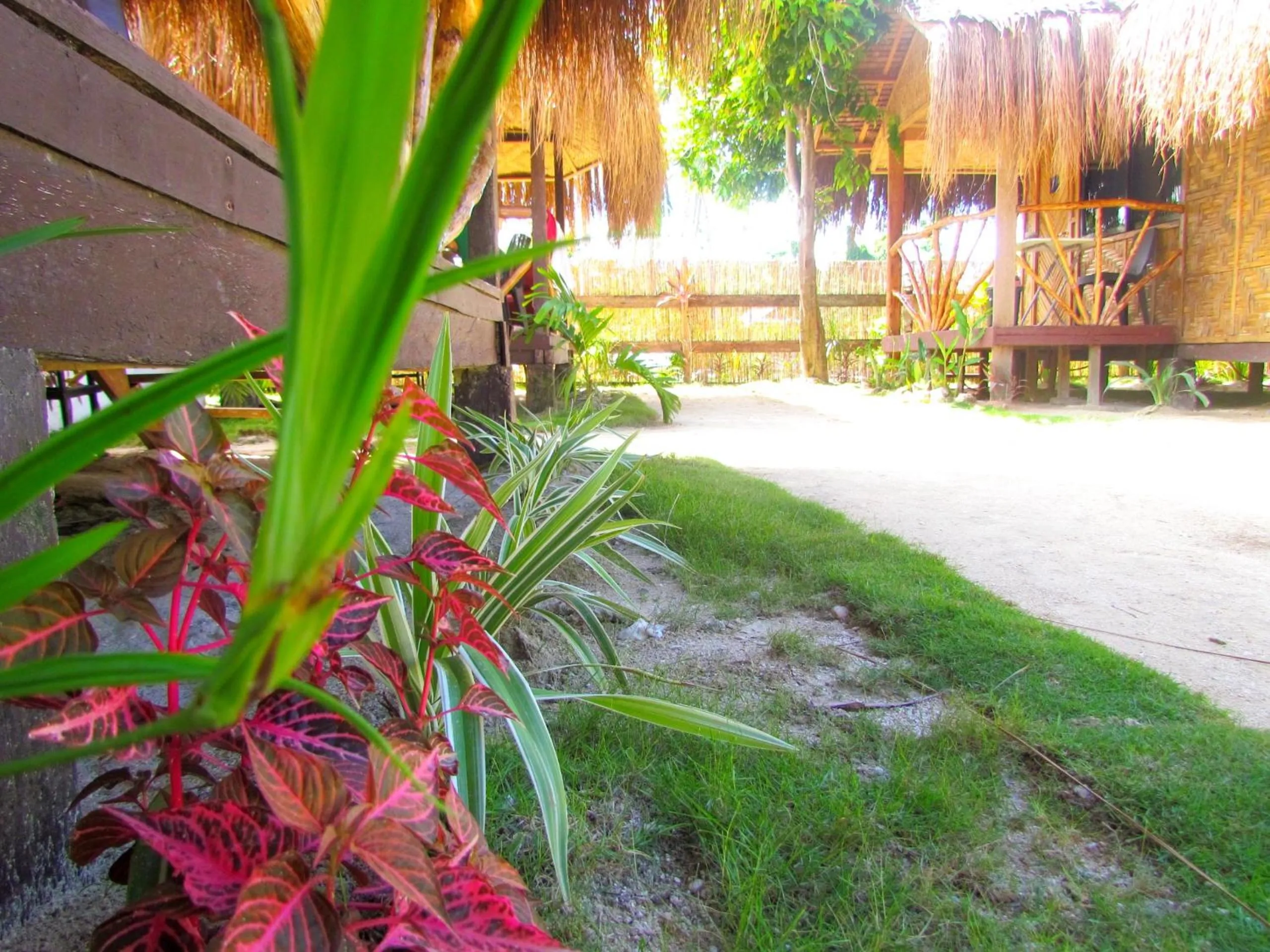 Property building in Siargao Tropic Hostel