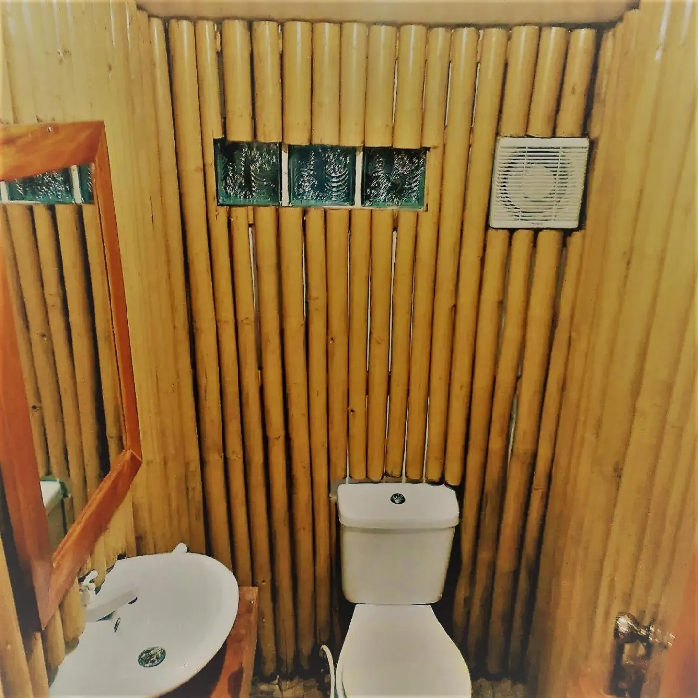 Property building in Siargao Tropic Hostel