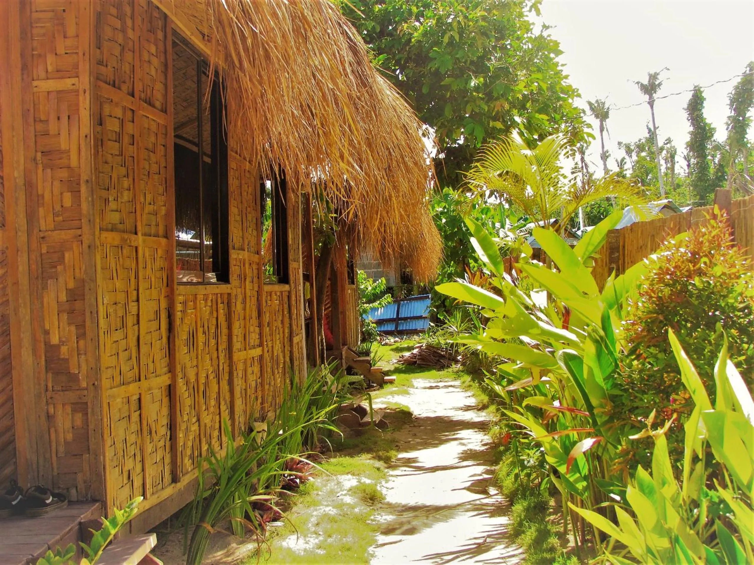 Property building in Siargao Tropic Hostel