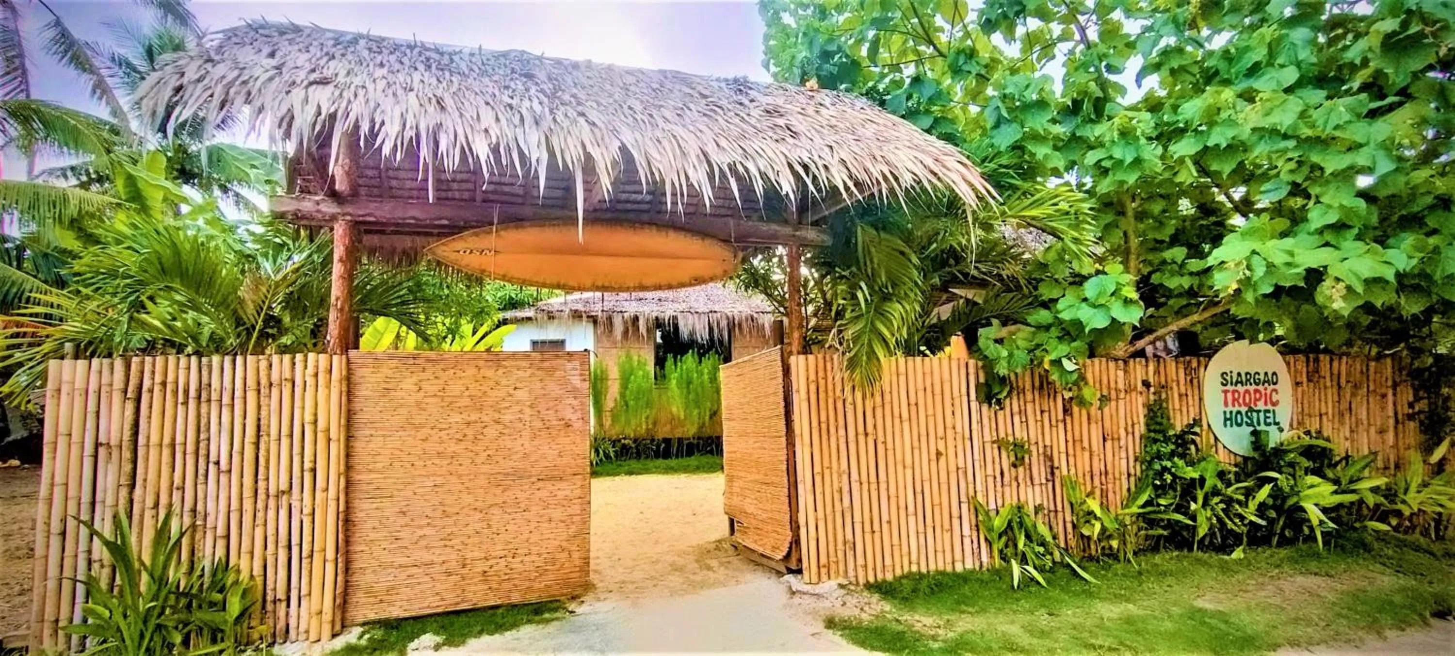 Property building in Siargao Tropic Hostel