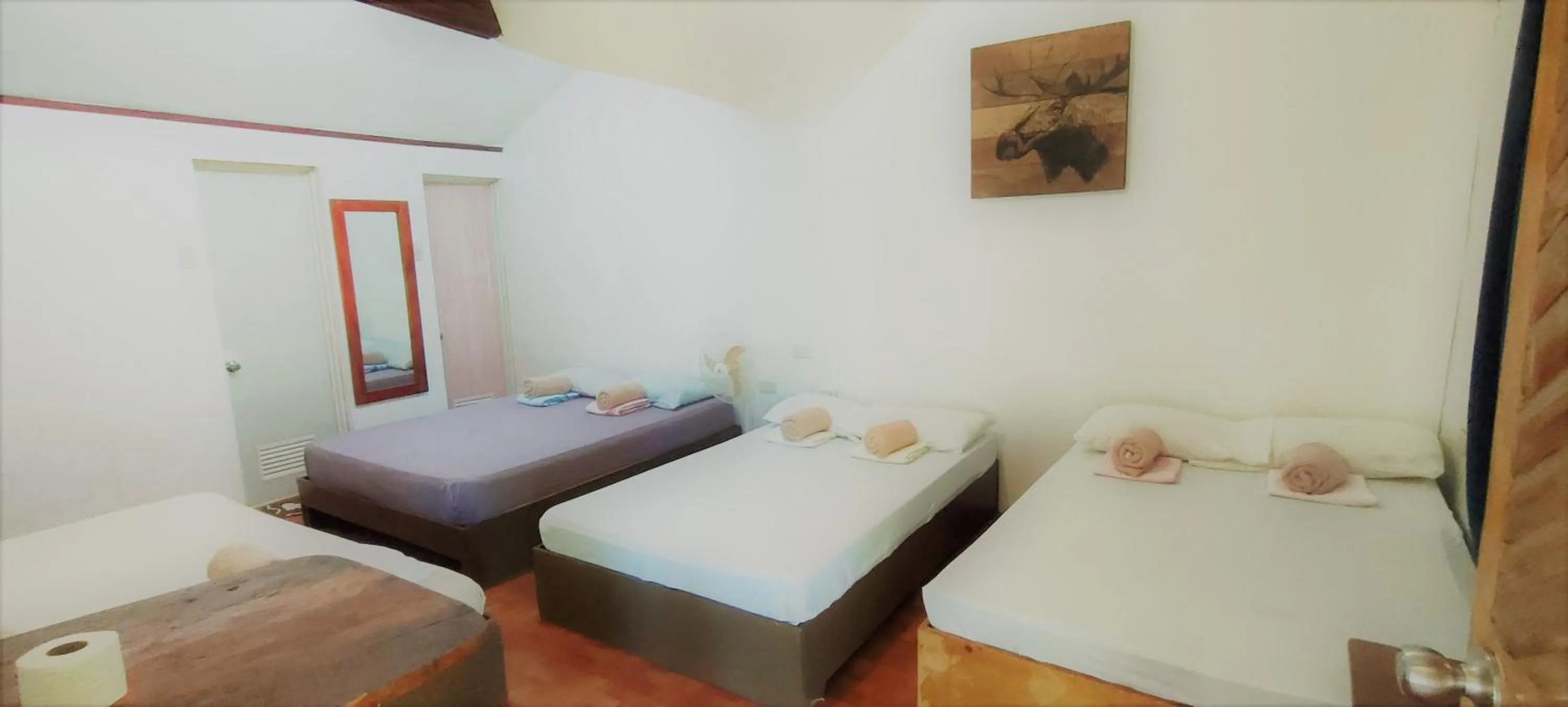 Property building, Bed in Siargao Tropic Hostel