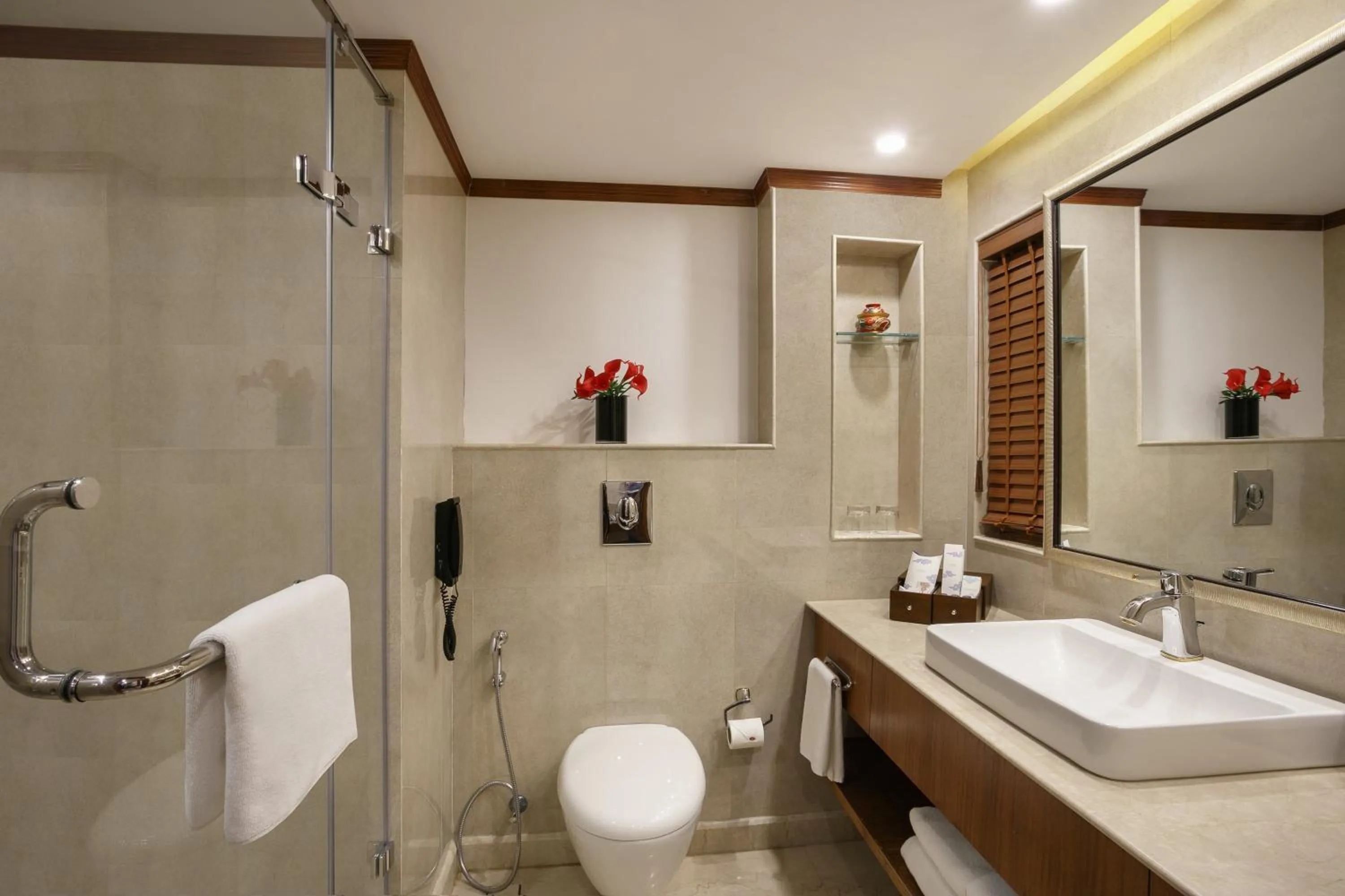 Bathroom in The Grand Dragon Ladakh