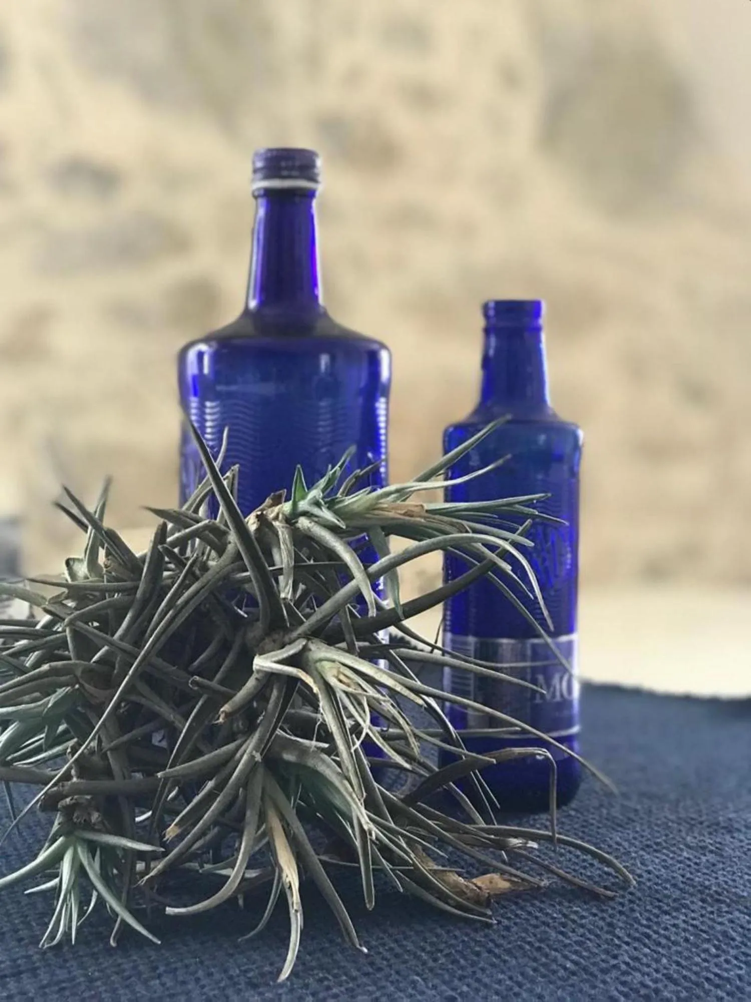 Communal lounge/ TV room in Quinta Bogesi