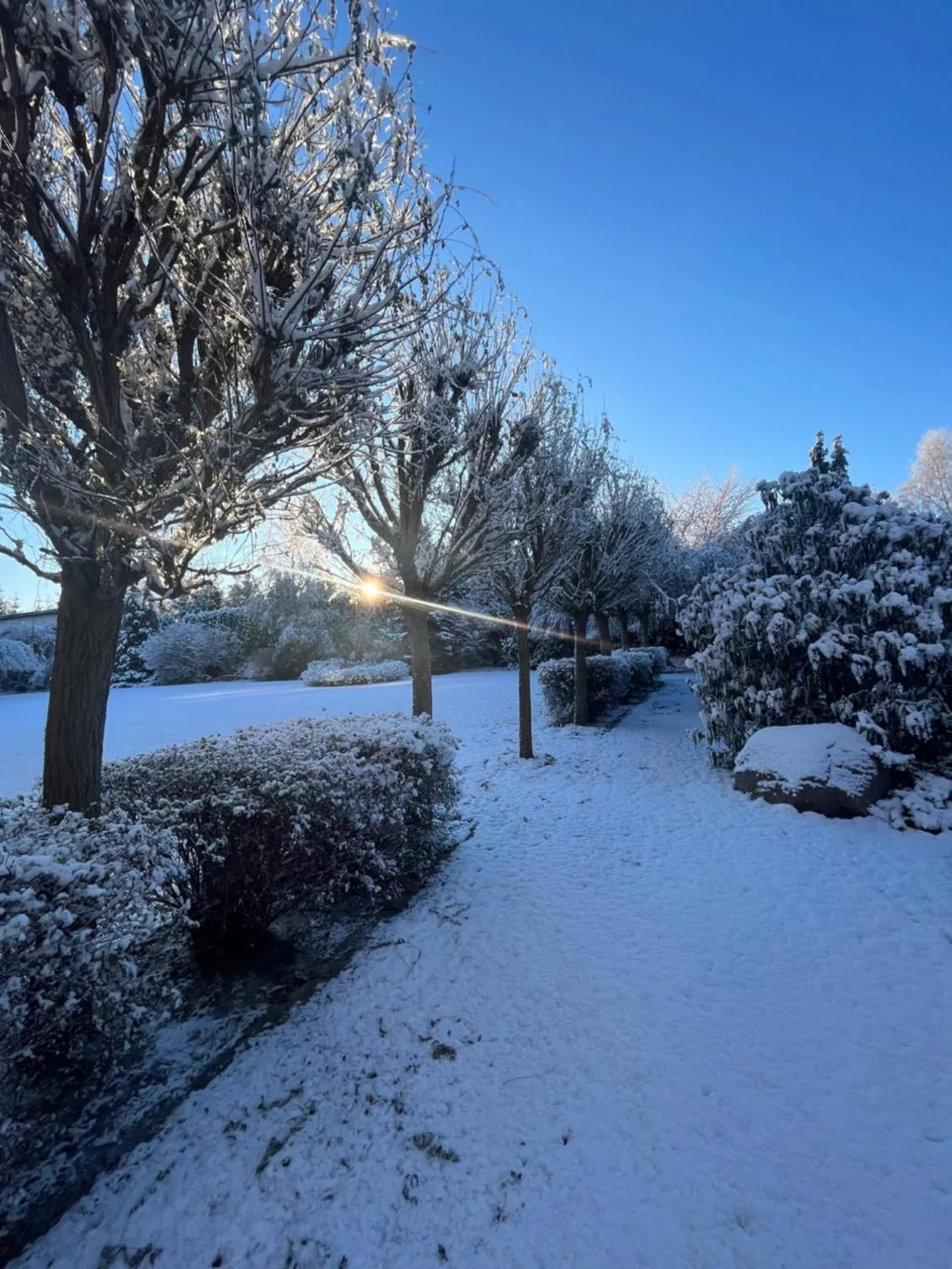 Property building in Hotel Platan