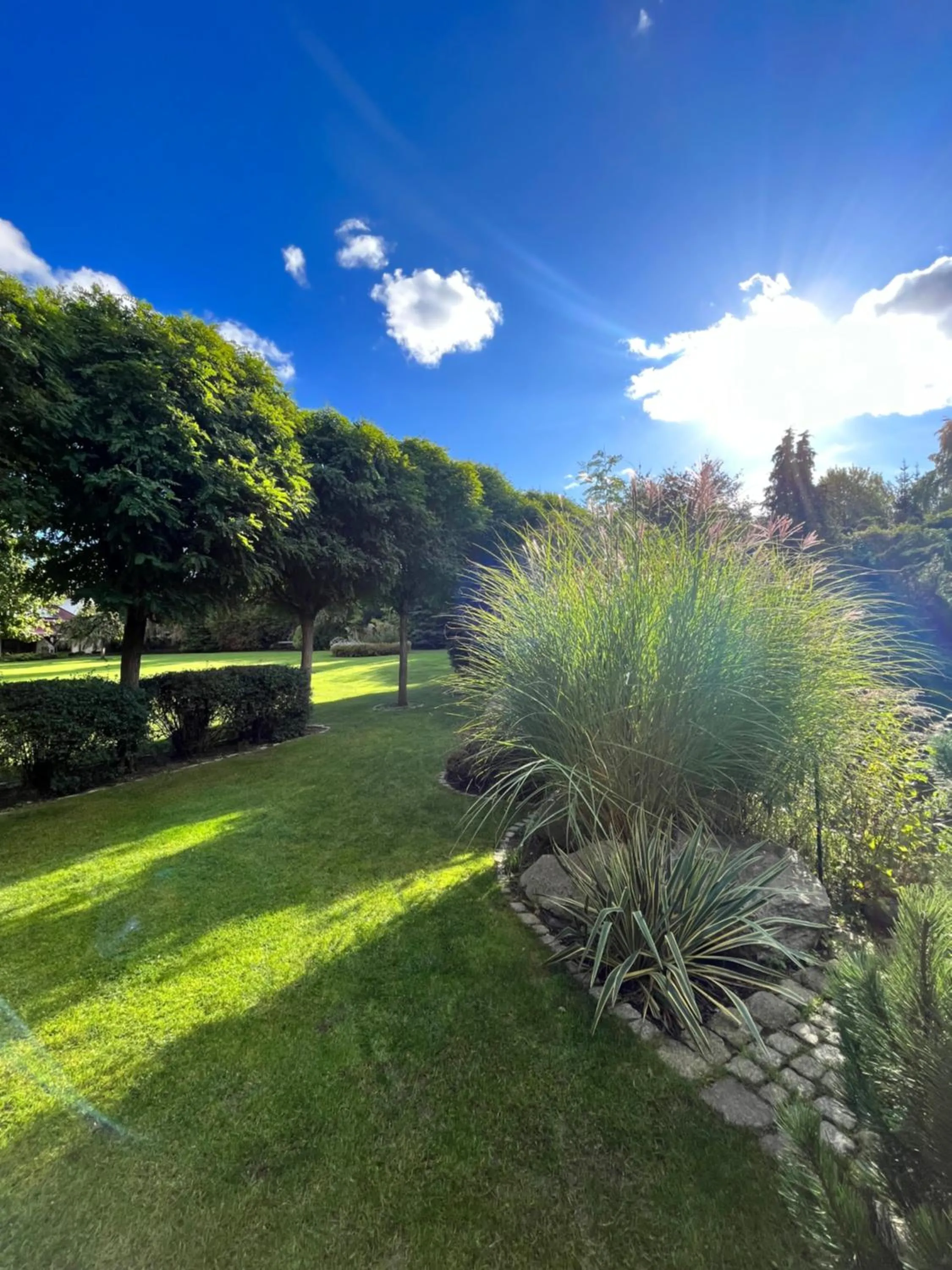 Garden in Hotel Platan