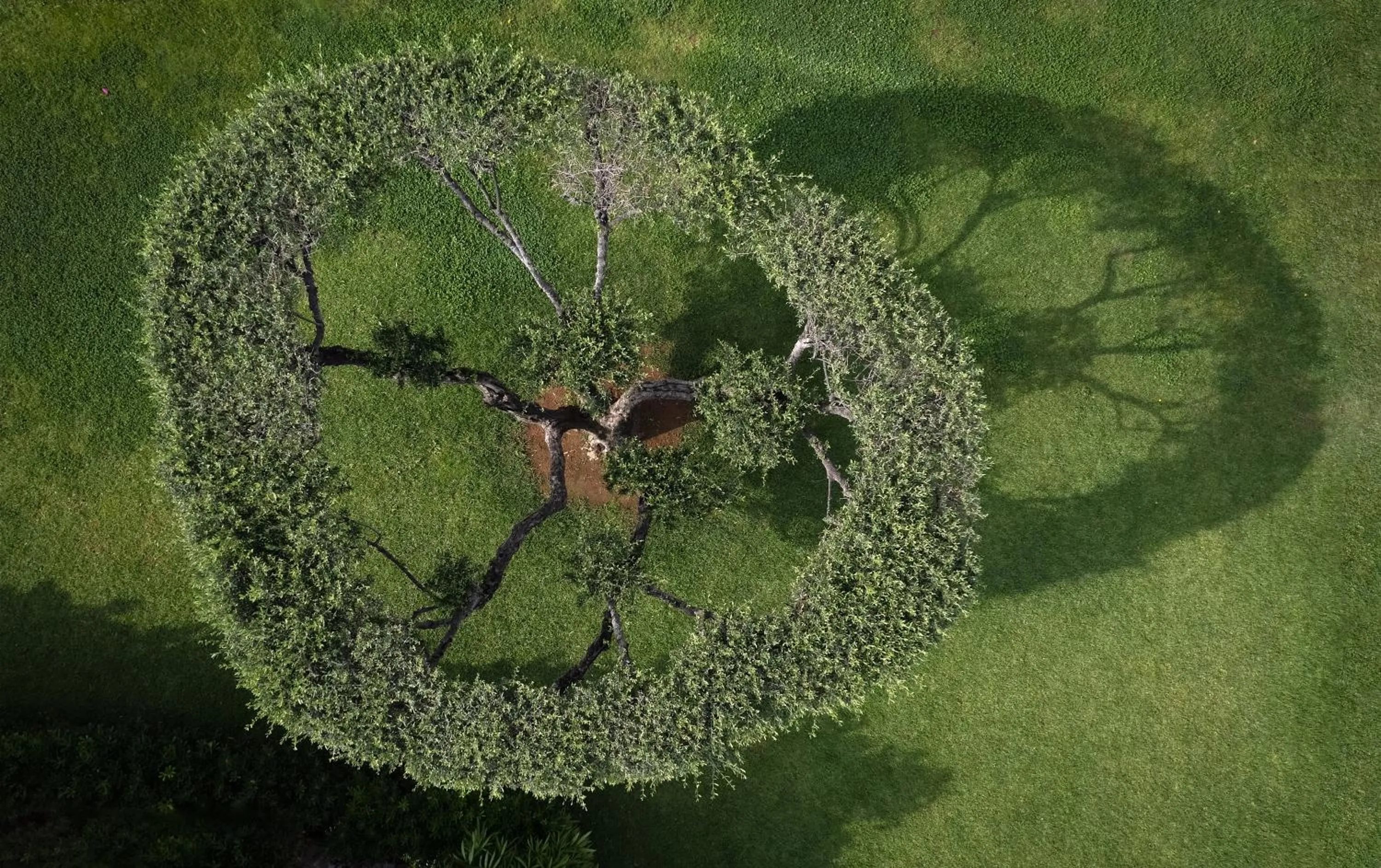 Natural landscape in Mitsis Bali Paradise