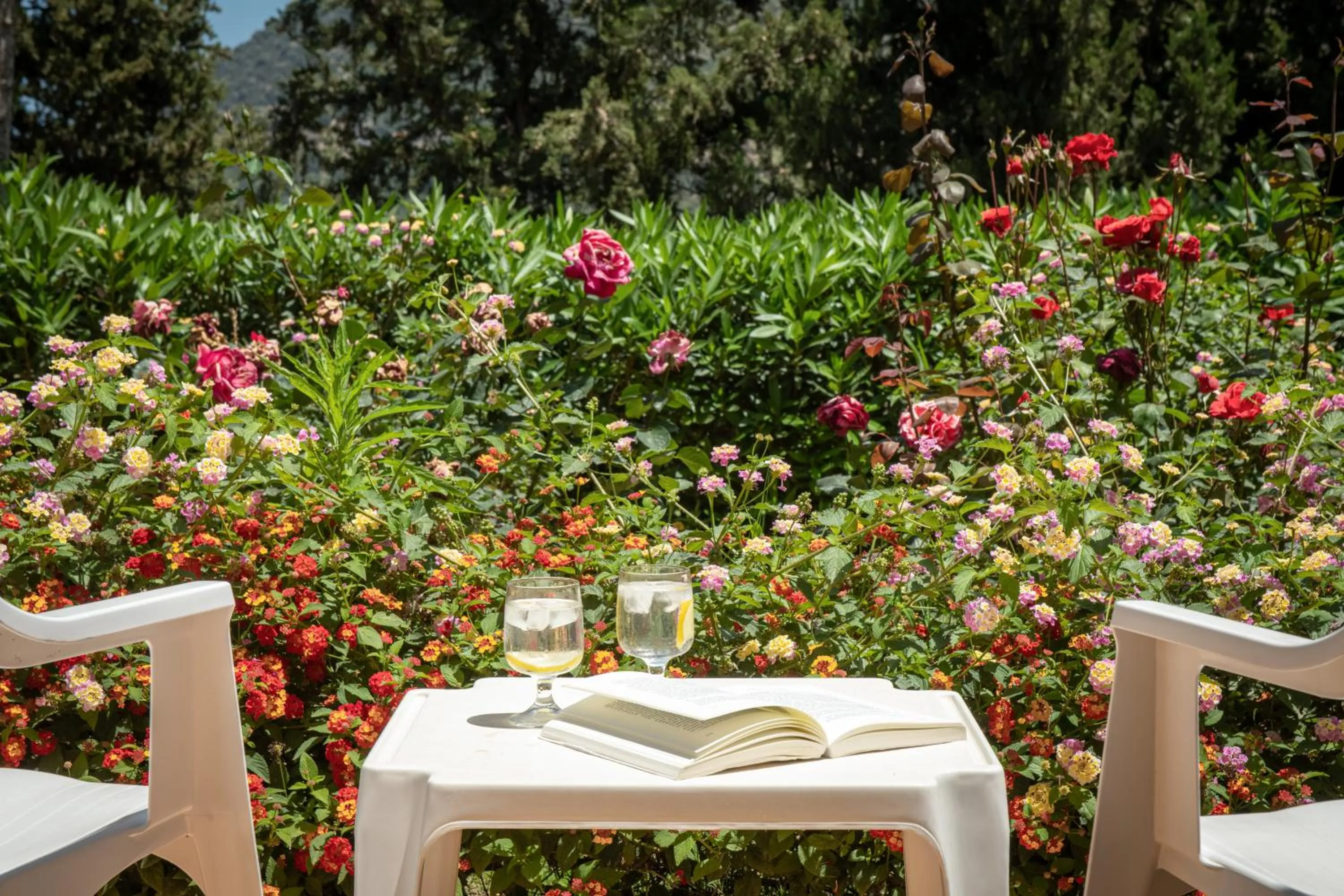 Garden view in Mitsis Bali Paradise