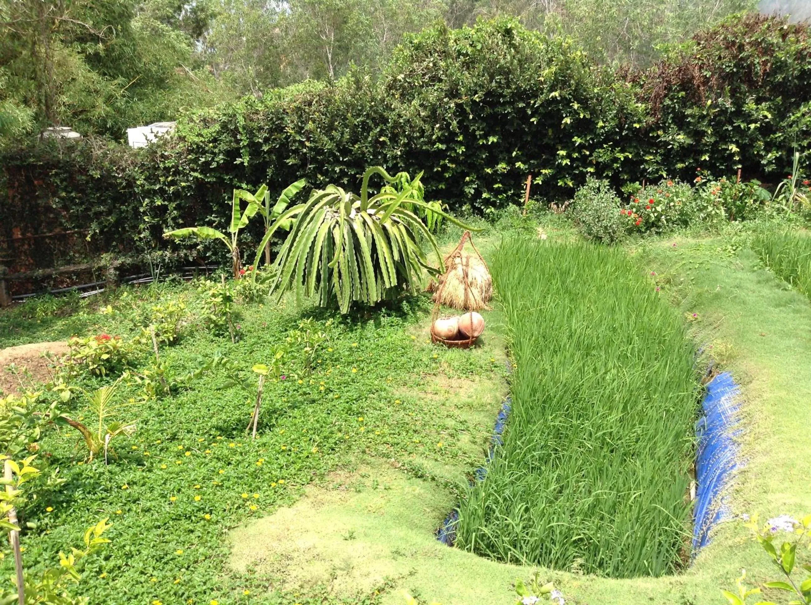 Garden in Poshanu Boutique Resort
